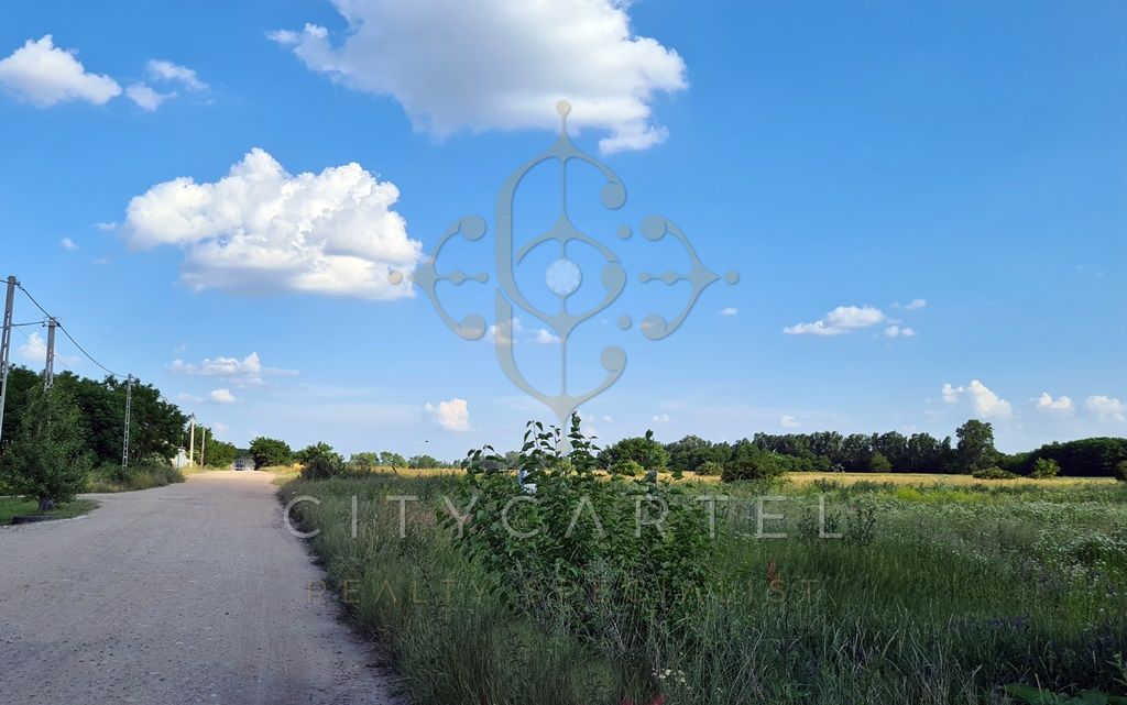 A fájl már létezik a célhelyen: import/kepek/vizjeles_3912483.jpg
For sale Industrial area Vecsés  13183 m<sup>2</sup> 462 millió Ft