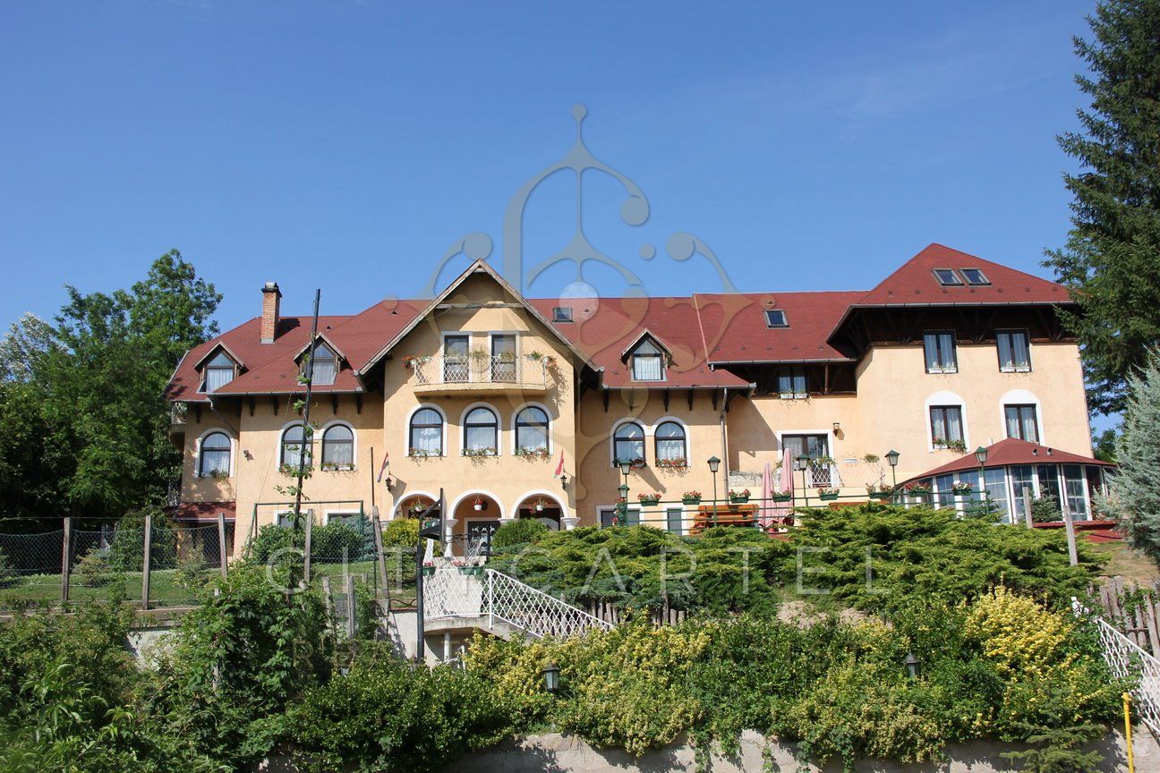 A fájl már létezik a célhelyen: import/kepek/vizjeles_4022951.jpg
Eladó Szálloda, panzió Domony  1653 m<sup>2</sup> 420 millió Ft