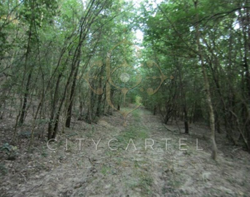 A fájl már létezik a célhelyen: import/kepek/vizjeles_4223777.jpg
For sale Forest Bisse  800000 m<sup>2</sup> 268 millió Ft