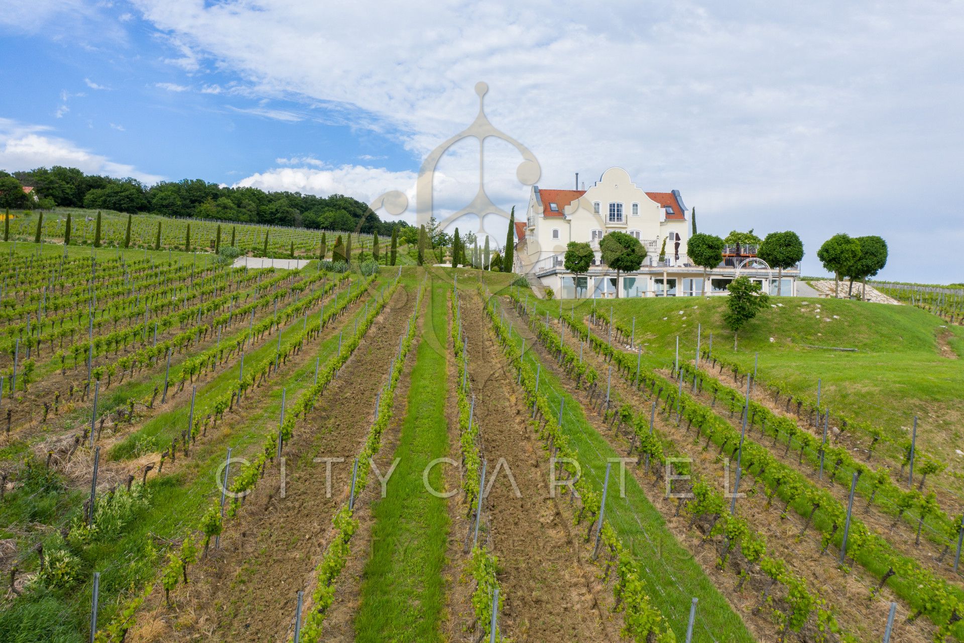 A fájl már létezik a célhelyen: import/kepek/vizjeles_4225730.jpg
Eladó Családi ház Monoszló  1615 m<sup>2</sup> 4900000 EUR