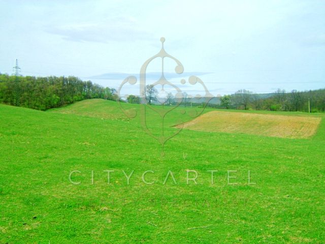 A fájl már létezik a célhelyen: import/kepek/vizjeles_4254146.jpg
For sale plot of land, building lot Bicske  192000 m<sup>2</sup> 800 millió Ft