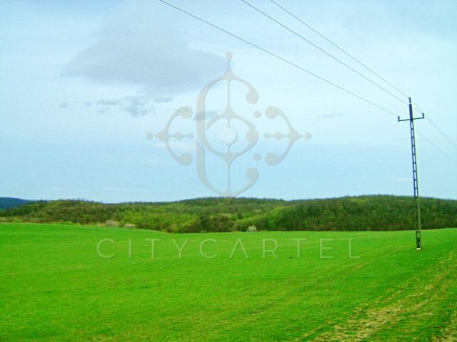 A fájl már létezik a célhelyen: import/kepek/vizjeles_4254147.jpg
For sale plot of land, building lot Bicske  192000 m<sup>2</sup> 800 millió Ft