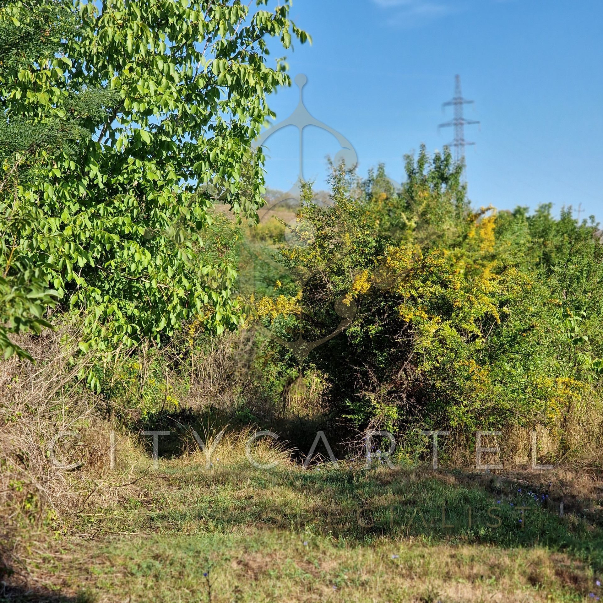 A fájl már létezik a célhelyen: import/kepek/vizjeles_4439198.jpg
For sale Outskirts Eger  4034 m<sup>2</sup> 35 millió Ft