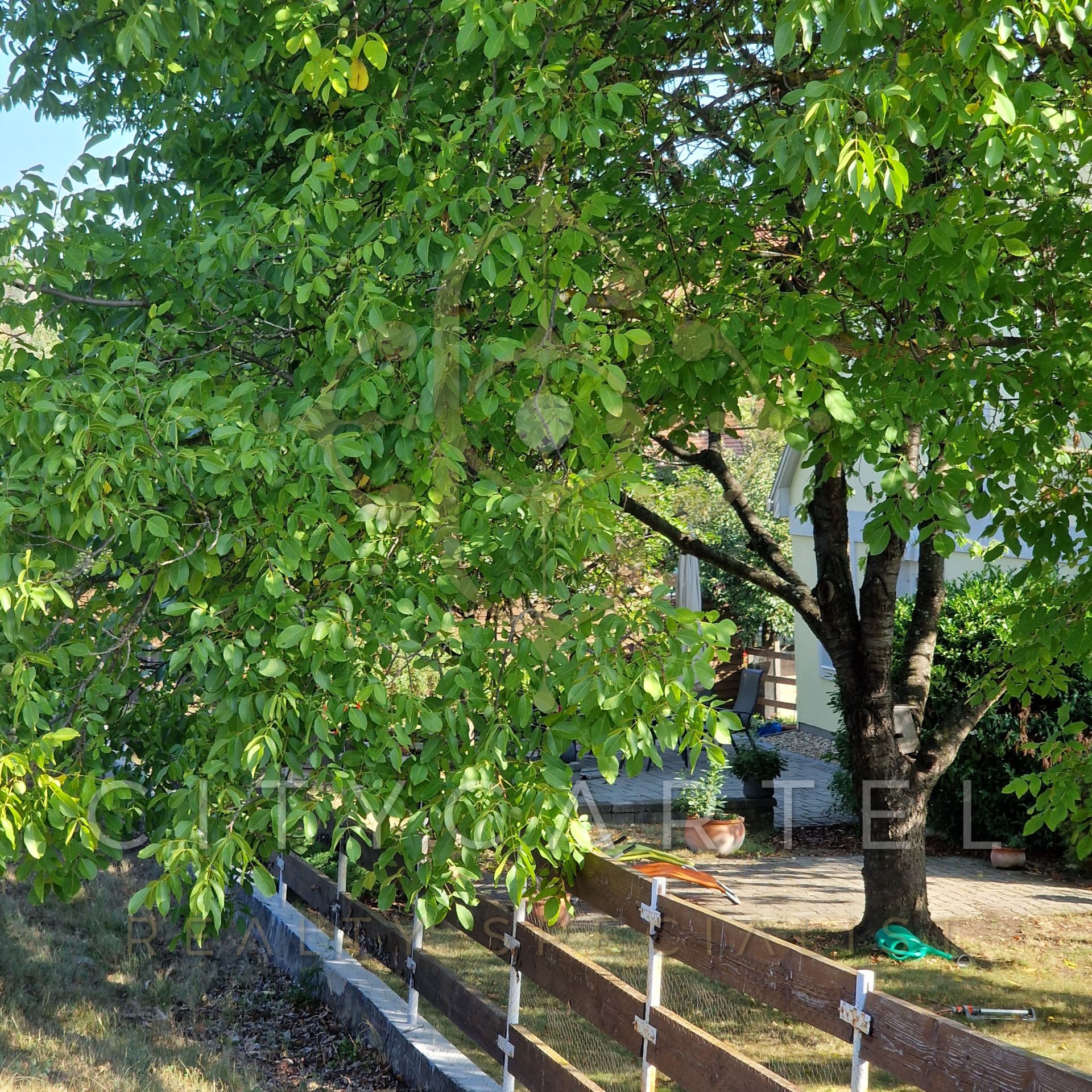 A fájl már létezik a célhelyen: import/kepek/vizjeles_4439200.jpg
For sale Outskirts Eger  4034 m<sup>2</sup> 35 millió Ft