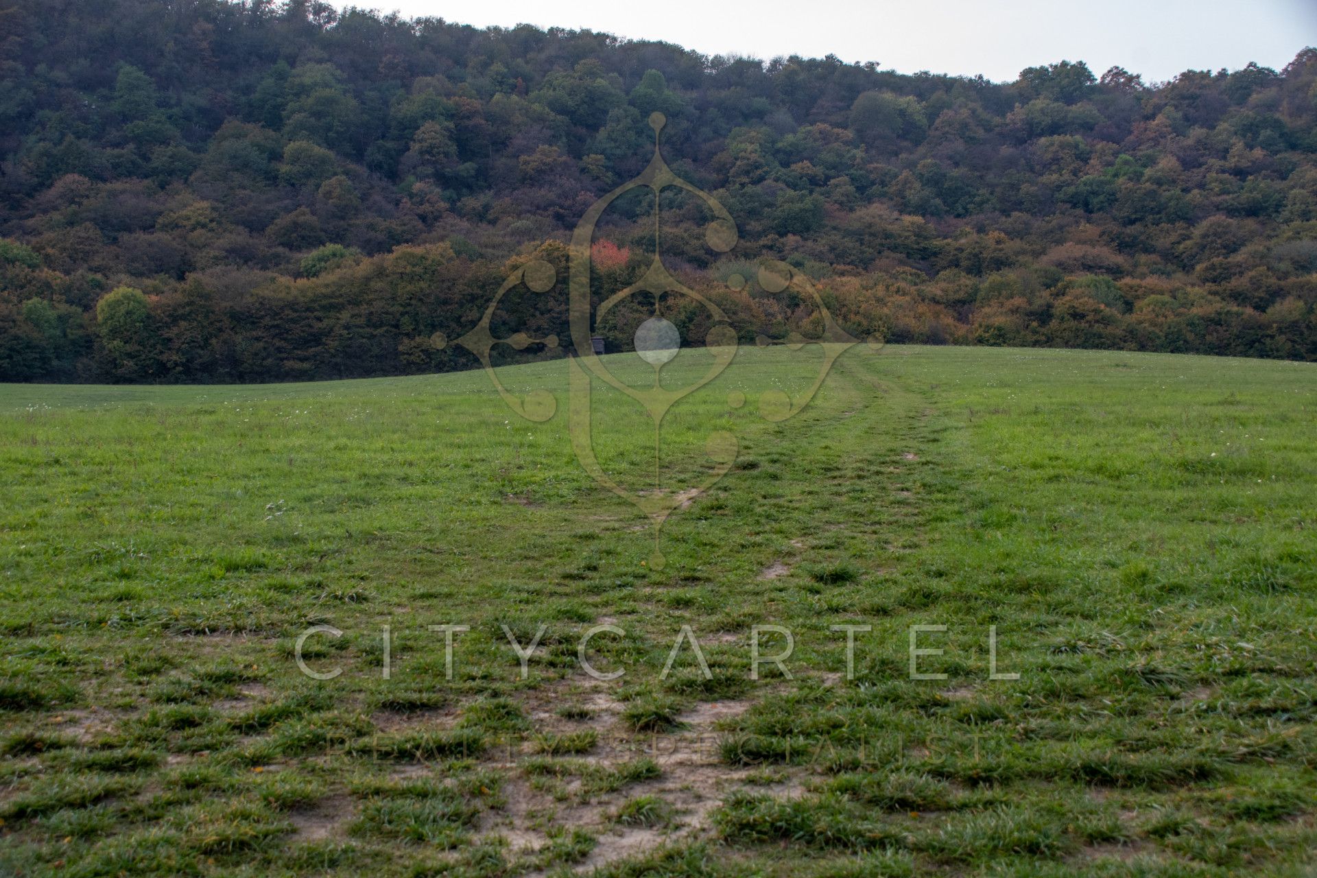 A fájl már létezik a célhelyen: import/kepek/vizjeles_4499892.jpg
For sale plot of land, building lot Tarján  160202 m<sup>2</sup> 380 millió Ft