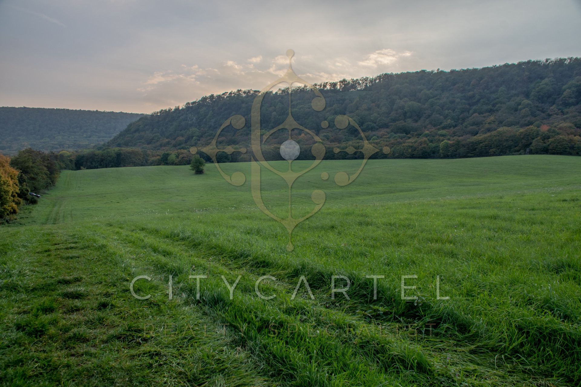 A fájl már létezik a célhelyen: import/kepek/vizjeles_4499894.jpg
For sale plot of land, building lot Tarján  160202 m<sup>2</sup> 380 millió Ft