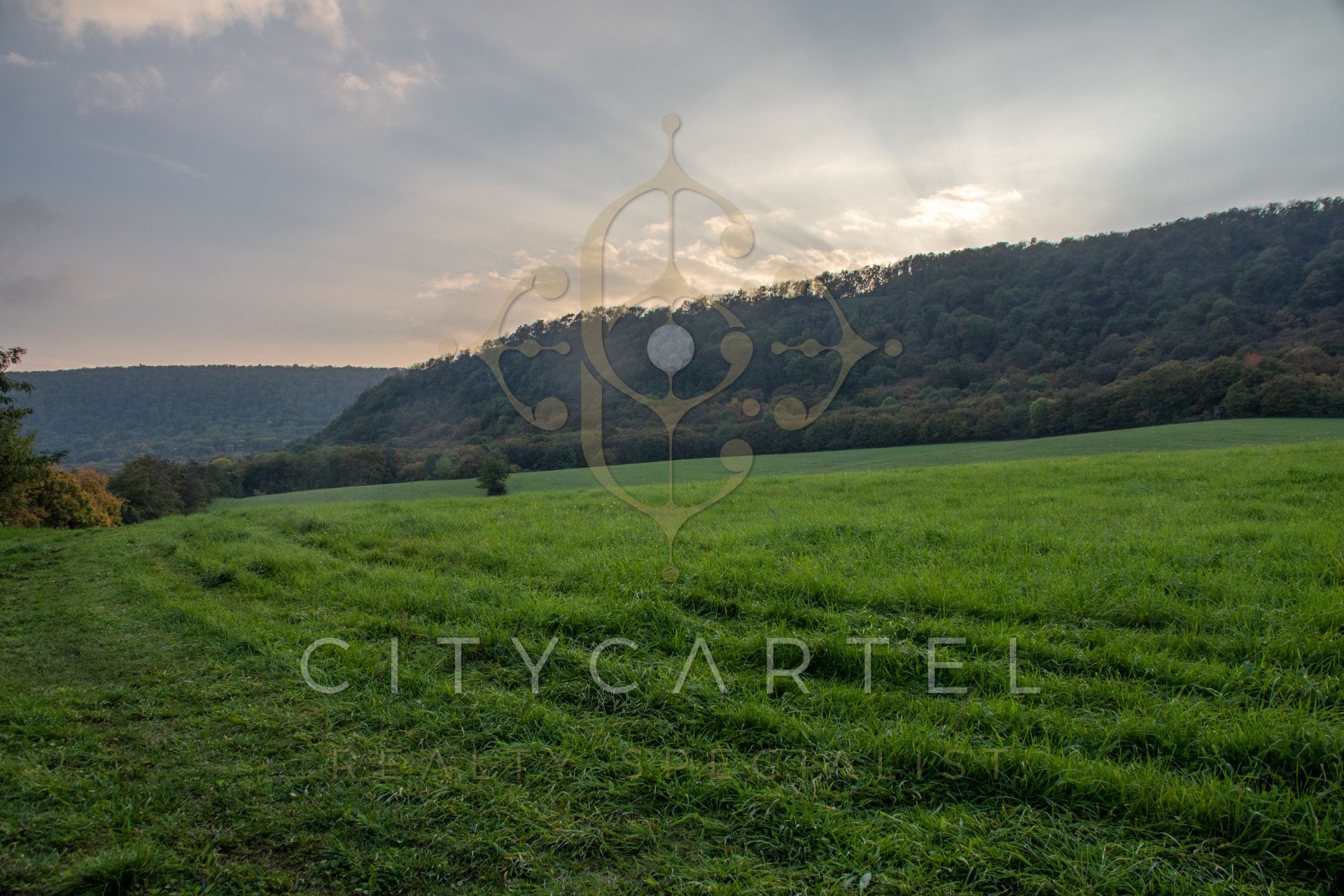 A fájl már létezik a célhelyen: import/kepek/vizjeles_4499896.jpg
For sale plot of land, building lot Tarján  160202 m<sup>2</sup> 380 millió Ft