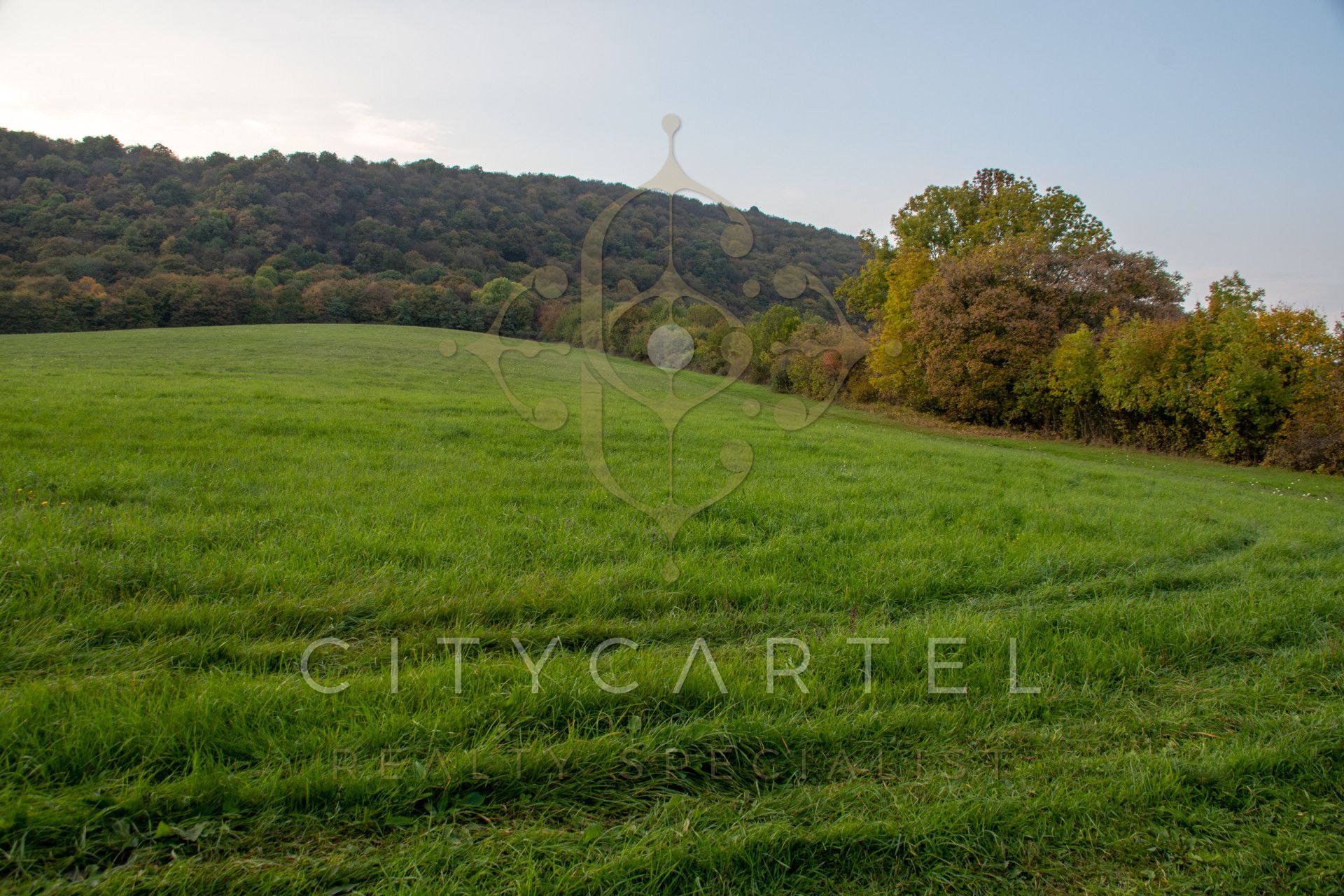 A fájl már létezik a célhelyen: import/kepek/vizjeles_4499897.jpg
For sale plot of land, building lot Tarján  160202 m<sup>2</sup> 380 millió Ft