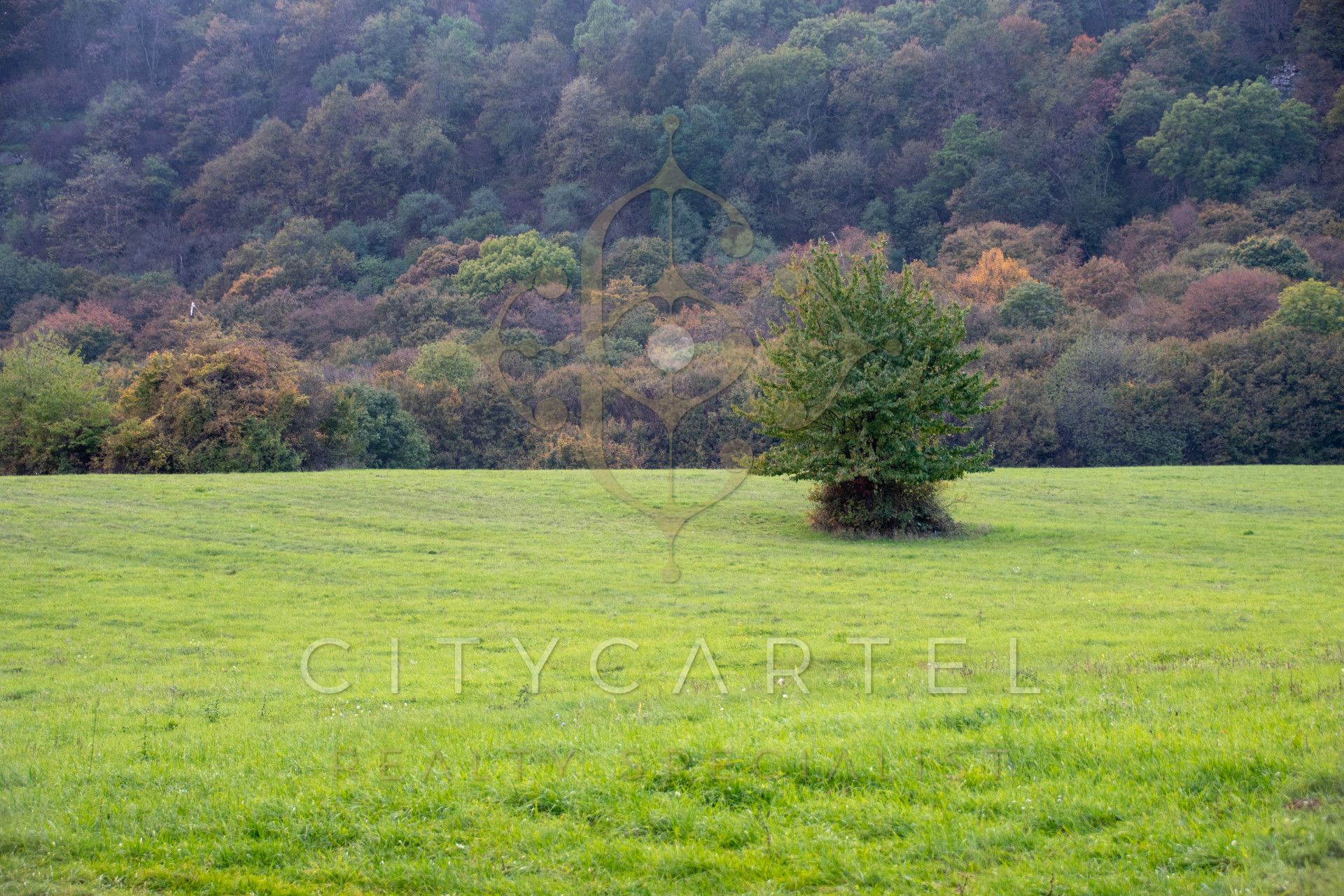 A fájl már létezik a célhelyen: import/kepek/vizjeles_4499898.jpg
For sale plot of land, building lot Tarján  160202 m<sup>2</sup> 380 millió Ft