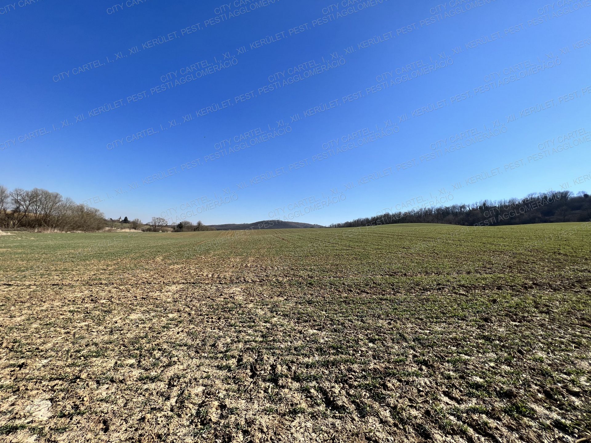 A fájl már létezik a célhelyen: import/kepek/vizjeles_4611651.jpg
Eladó Mezőgazdasági terület Kistótfalu  400000 m<sup>2</sup> 175 millió Ft