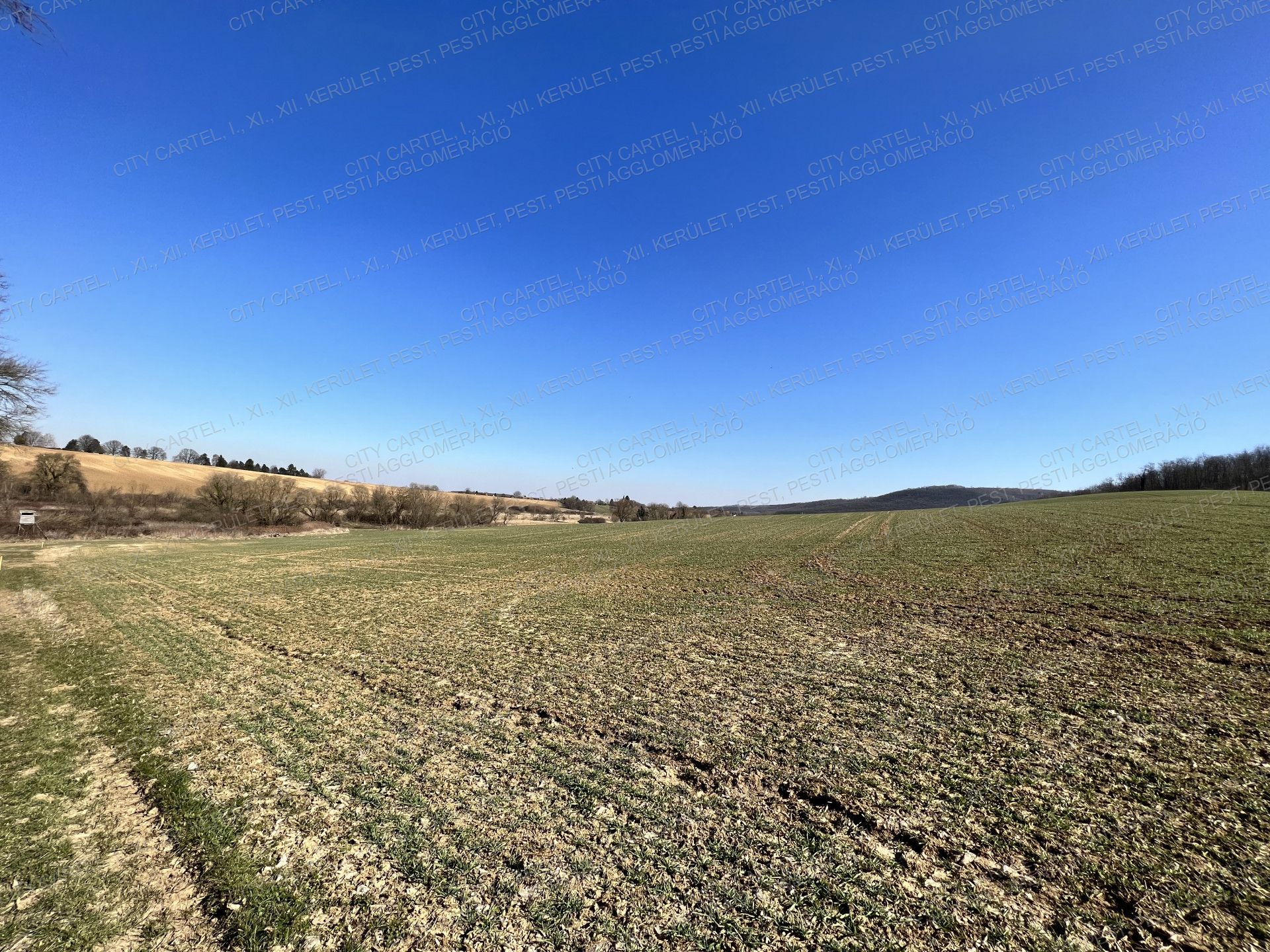 A fájl már létezik a célhelyen: import/kepek/vizjeles_4611653.jpg
Eladó Mezőgazdasági terület Kistótfalu  400000 m<sup>2</sup> 175 millió Ft