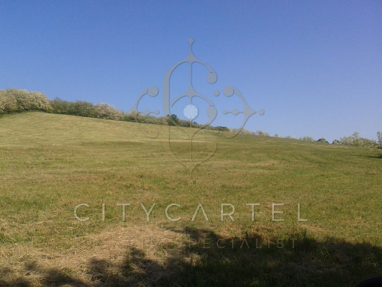 A fájl már létezik a célhelyen: import/kepek/vizjeles_4684067.jpg
For sale plot of land, building lot Salgótarján  94689 m<sup>2</sup> 94600 EUR