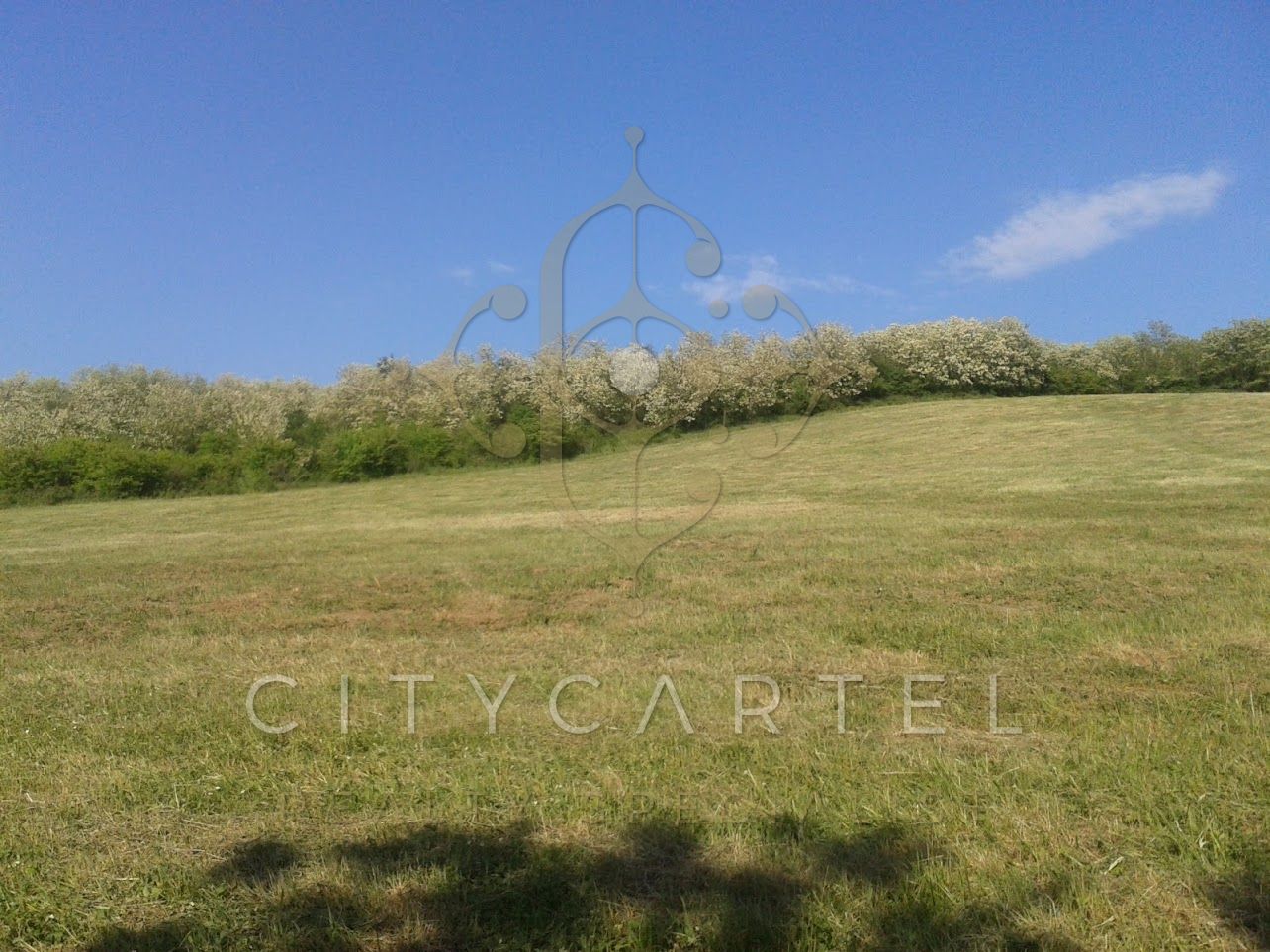 A fájl már létezik a célhelyen: import/kepek/vizjeles_4684071.jpg
For sale plot of land, building lot Salgótarján  94689 m<sup>2</sup> 94600 EUR