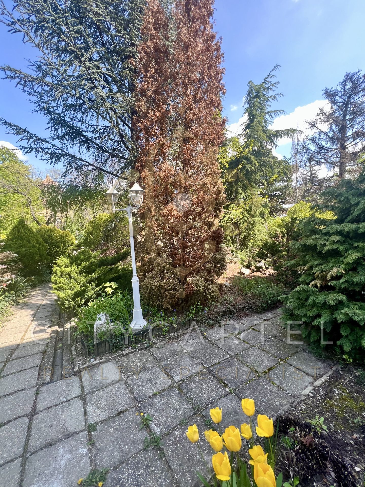 A fájl már létezik a célhelyen: import/kepek/vizjeles_4759834.jpg
For sale house Budapest, II. kerület  875 m<sup>2</sup> 1500 millió Ft
