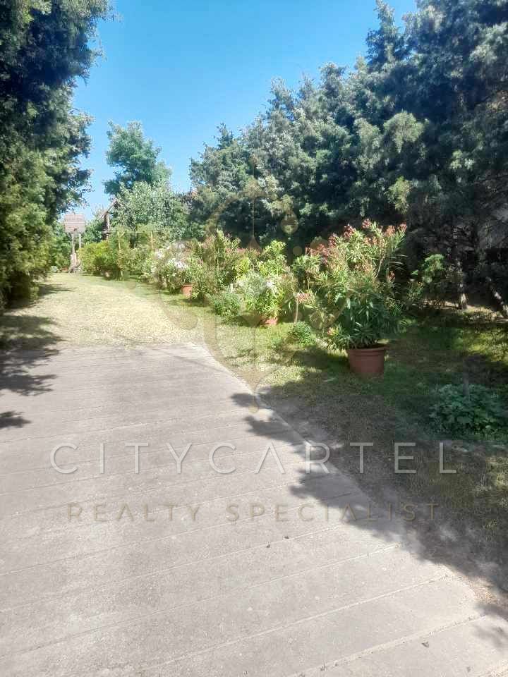 A fájl már létezik a célhelyen: import/kepek/vizjeles_4843156.jpg
For sale house Dunavecse  378 m<sup>2</sup> 88.49 millió Ft