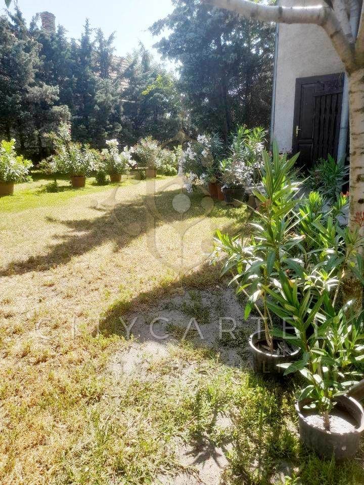 A fájl már létezik a célhelyen: import/kepek/vizjeles_4843157.jpg
For sale house Dunavecse  378 m<sup>2</sup> 88.49 millió Ft