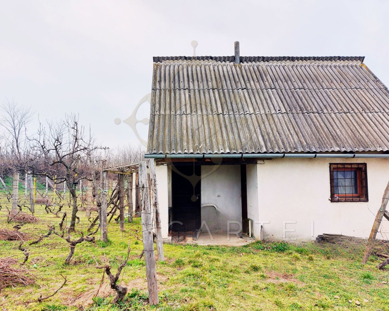 A fájl már létezik a célhelyen: import/kepek/vizjeles_4903408.jpg
Eladó Kert, gyümölcsös Bölcske  11978 m<sup>2</sup> 10.59 millió Ft