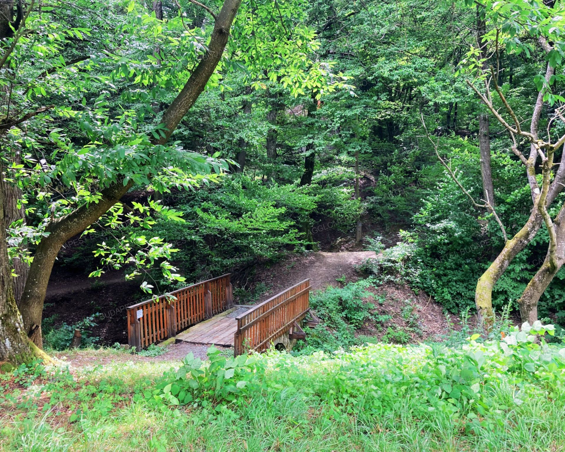 A fájl már létezik a célhelyen: import/kepek/vizjeles_4935371.jpg
For sale recreational home, summer house Velem  69 m<sup>2</sup> 55 millió Ft