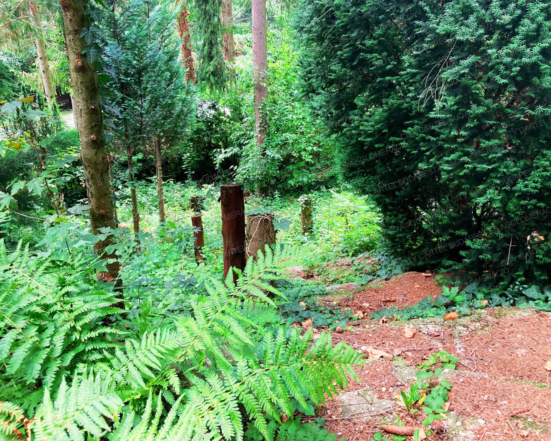 A fájl már létezik a célhelyen: import/kepek/vizjeles_4935373.jpg
For sale recreational home, summer house Velem  69 m<sup>2</sup> 55 millió Ft