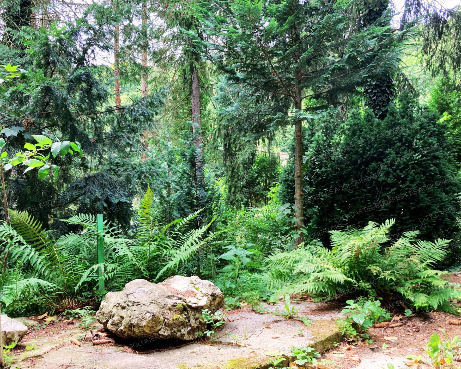 A fájl már létezik a célhelyen: import/kepek/vizjeles_4935376.jpg
For sale recreational home, summer house Velem  69 m<sup>2</sup> 55 millió Ft