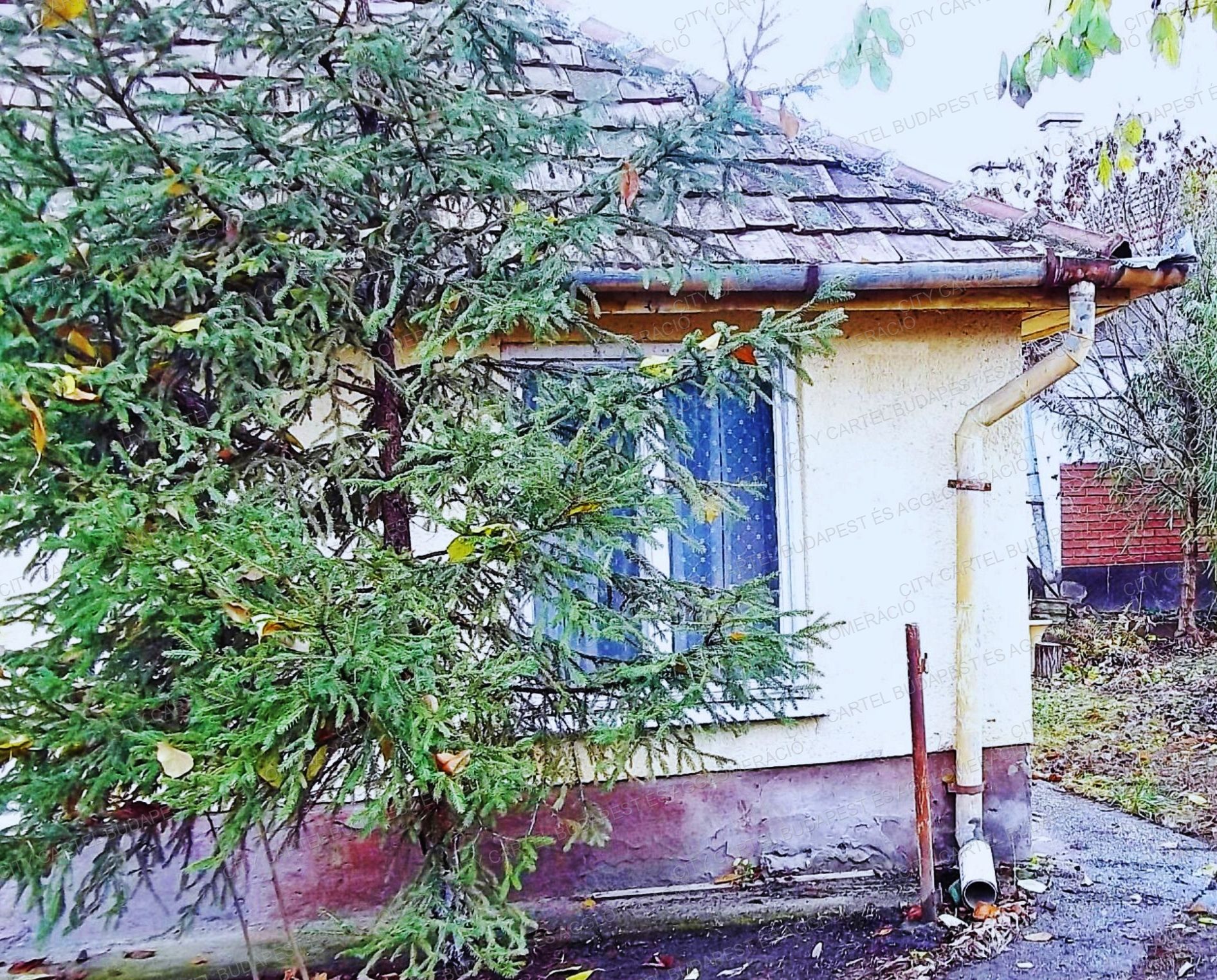 A fájl már létezik a célhelyen: import/kepek/vizjeles_4951400.jpg
For sale house Solt  73 m<sup>2</sup> 7.49 millió Ft