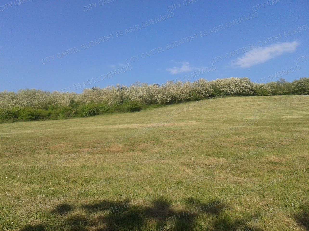 A fájl már létezik a célhelyen: import/kepek/vizjeles_4974991.jpg
For sale Agricultural area Salgótarján  94689 m<sup>2</sup> 94600 EUR