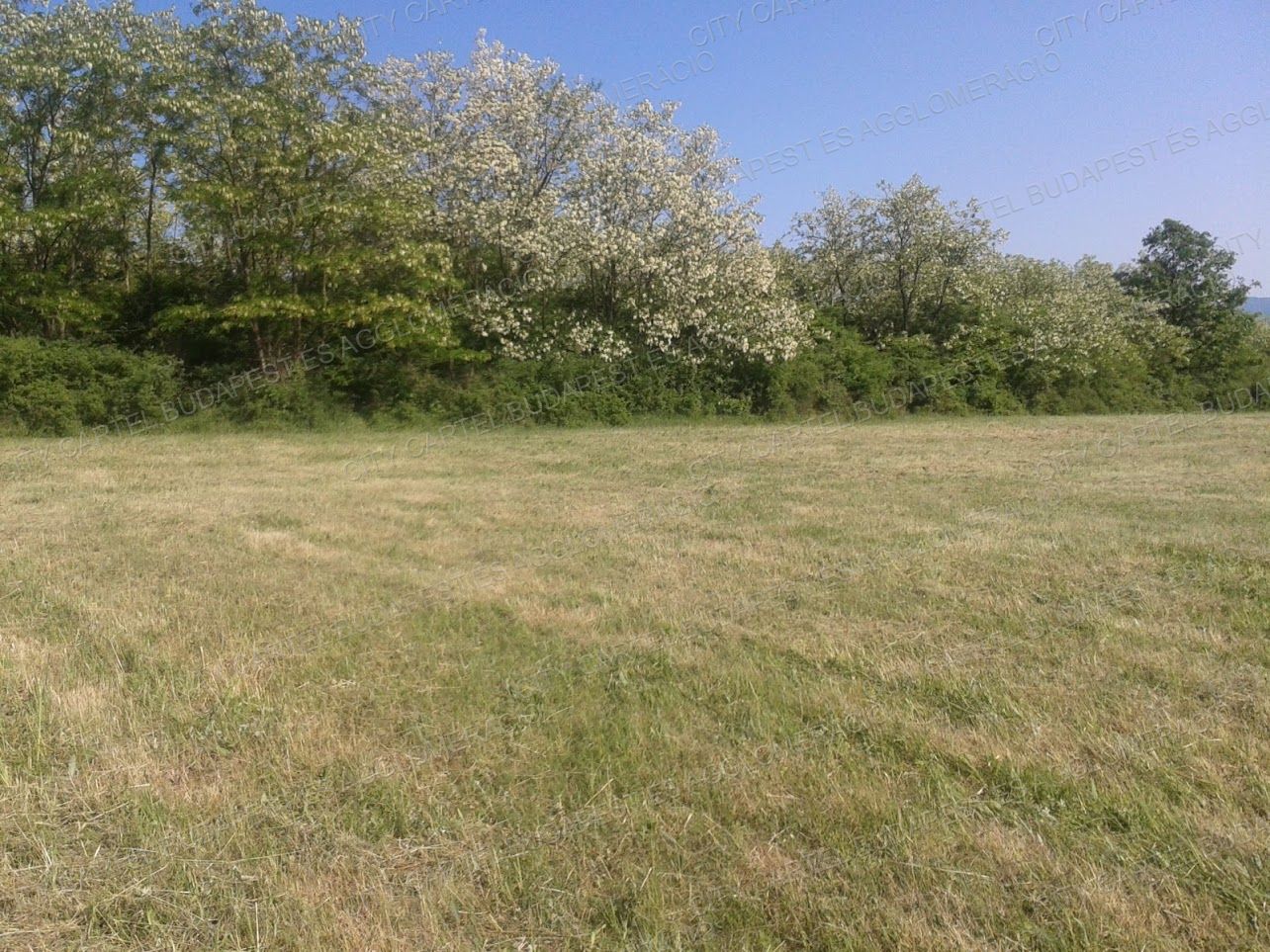 A fájl már létezik a célhelyen: import/kepek/vizjeles_4974992.jpg
For sale Agricultural area Salgótarján  94689 m<sup>2</sup> 94600 EUR