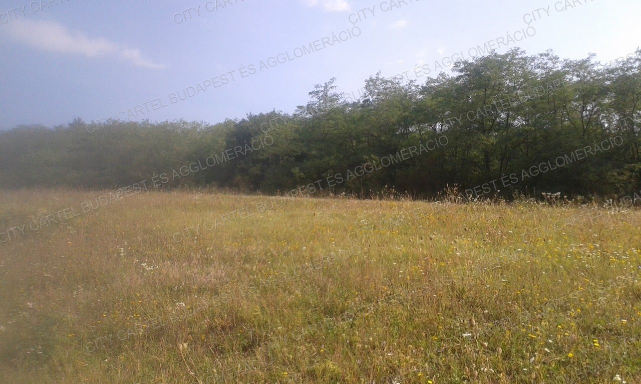A fájl már létezik a célhelyen: import/kepek/vizjeles_4974993.jpg
For sale Agricultural area Salgótarján  94689 m<sup>2</sup> 94600 EUR