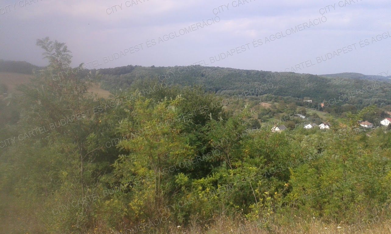A fájl már létezik a célhelyen: import/kepek/vizjeles_4974994.jpg
For sale Agricultural area Salgótarján  94689 m<sup>2</sup> 94600 EUR