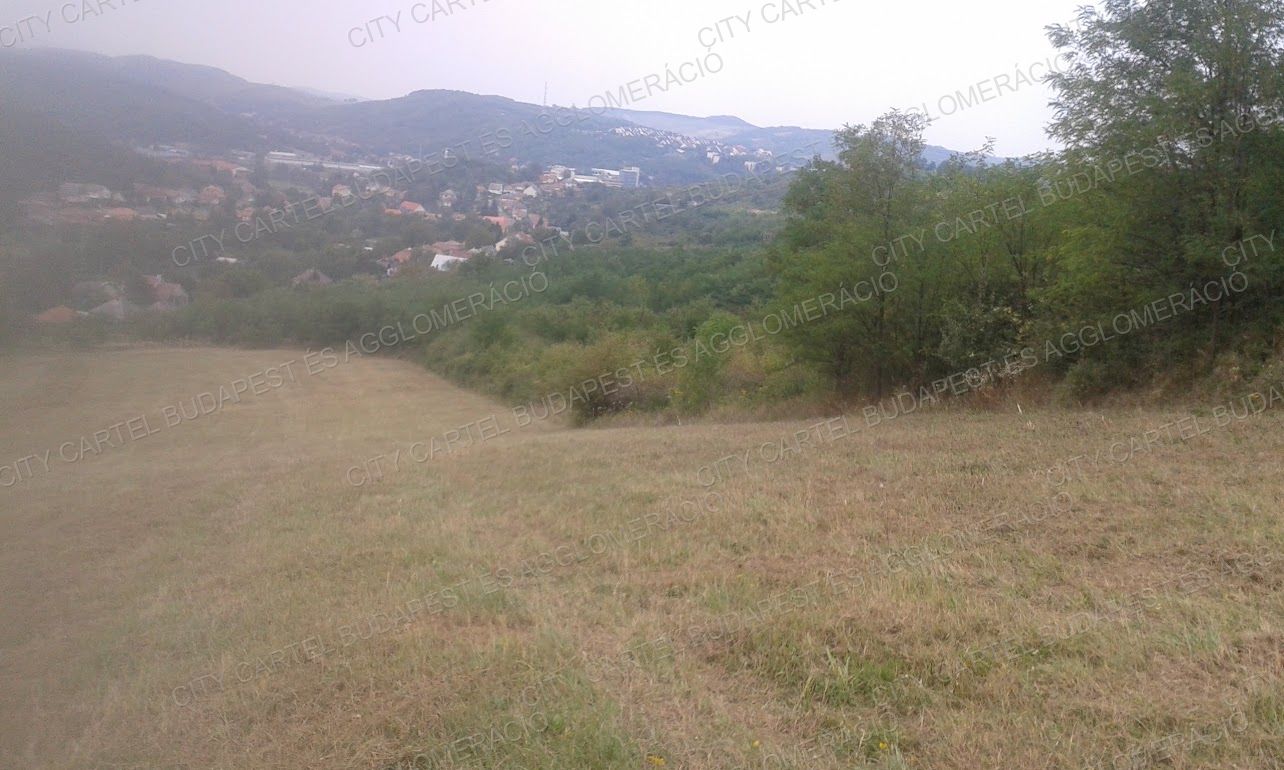 A fájl már létezik a célhelyen: import/kepek/vizjeles_4974995.jpg
For sale Agricultural area Salgótarján  94689 m<sup>2</sup> 94600 EUR