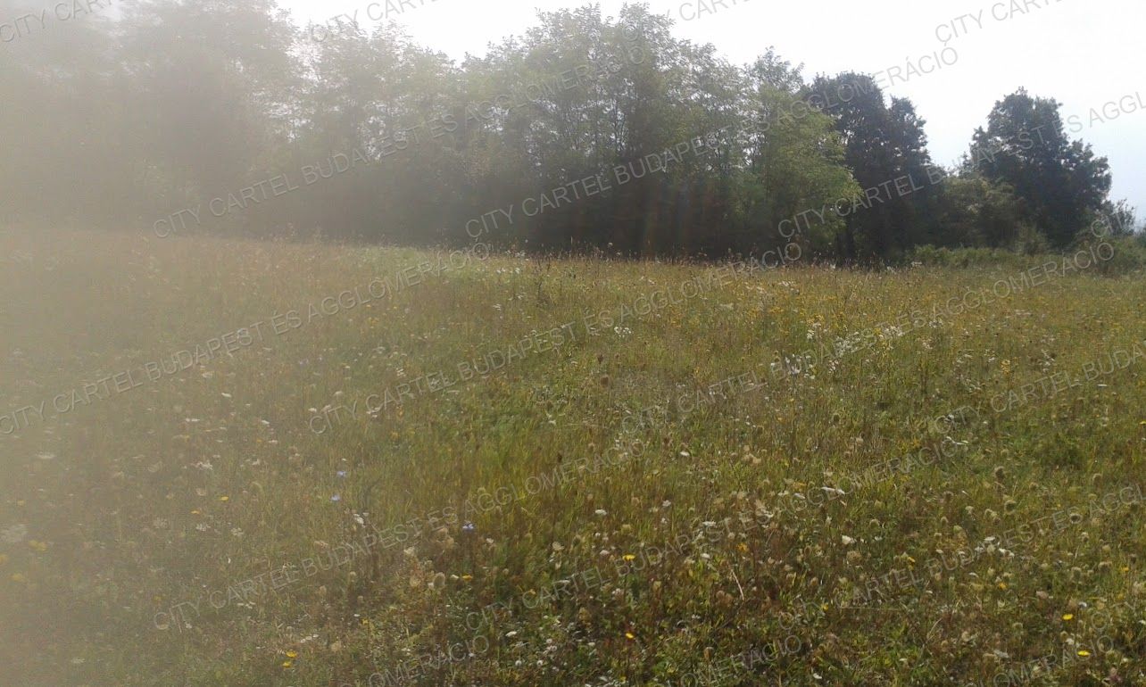 A fájl már létezik a célhelyen: import/kepek/vizjeles_4974996.jpg
For sale Agricultural area Salgótarján  94689 m<sup>2</sup> 94600 EUR