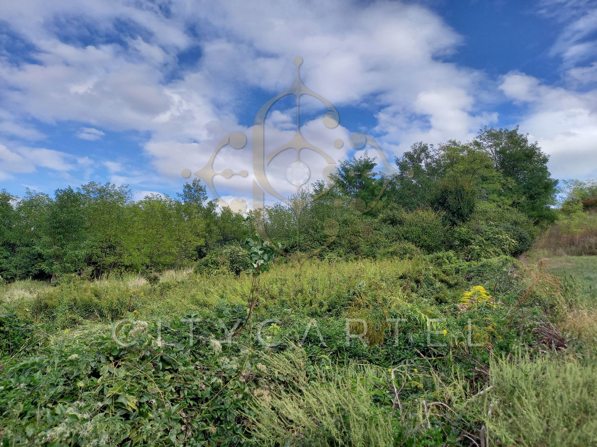 A fájl már létezik a célhelyen: import/kepek/vizjeles_4983295.jpg
For sale plot of land, building lot Nagyberény  2007 m<sup>2</sup> 7.49 millió Ft