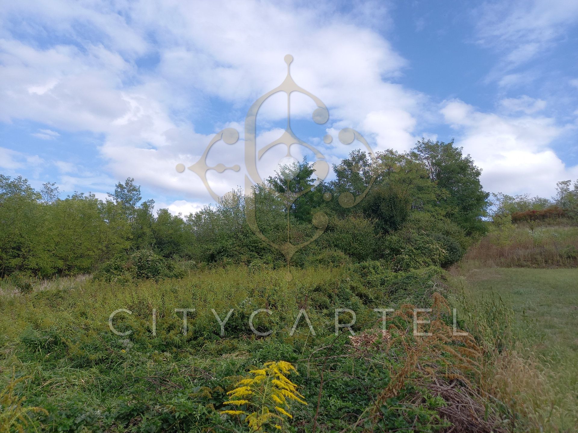 A fájl már létezik a célhelyen: import/kepek/vizjeles_4983296.jpg
For sale plot of land, building lot Nagyberény  2007 m<sup>2</sup> 7.49 millió Ft