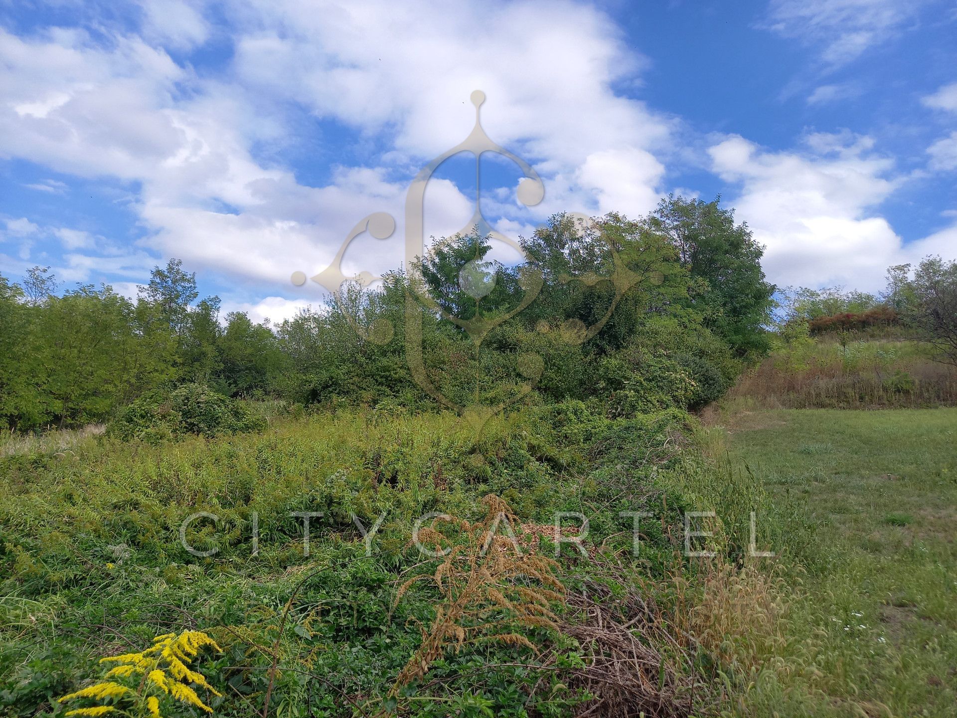 A fájl már létezik a célhelyen: import/kepek/vizjeles_4983298.jpg
For sale plot of land, building lot Nagyberény  2007 m<sup>2</sup> 7.49 millió Ft
