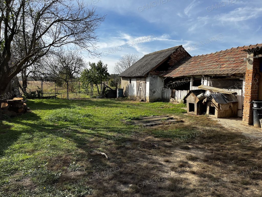 A fájl már létezik a célhelyen: import/kepek/vizjeles_5023812.jpg
Eladó Családi ház Somogysárd  115 m<sup>2</sup> 14.99 millió Ft