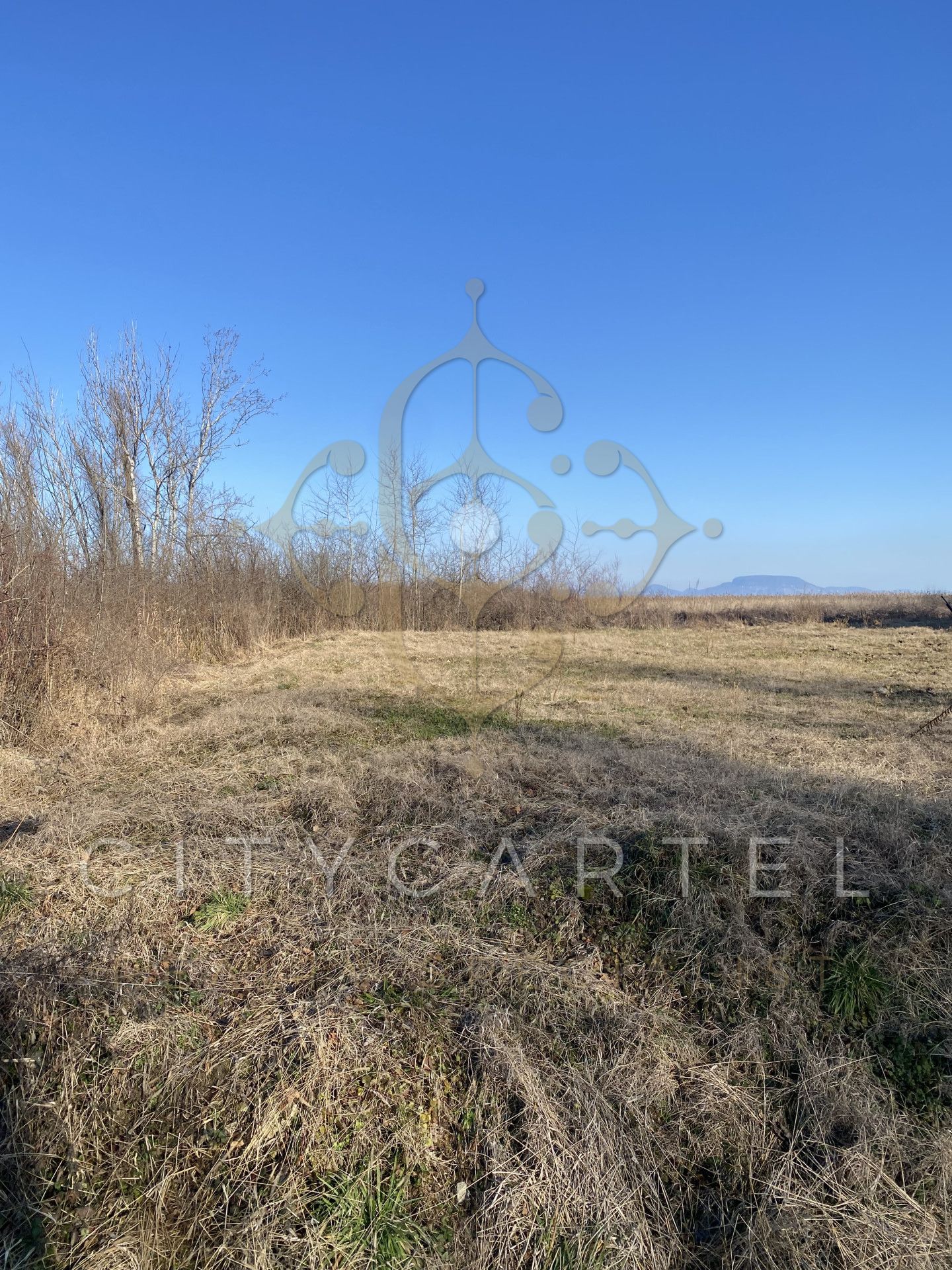 A fájl már létezik a célhelyen: import/kepek/vizjeles_5127527.jpg
Eladó Építési telek Balatonkeresztúr  736 m<sup>2</sup> 59.9 millió Ft