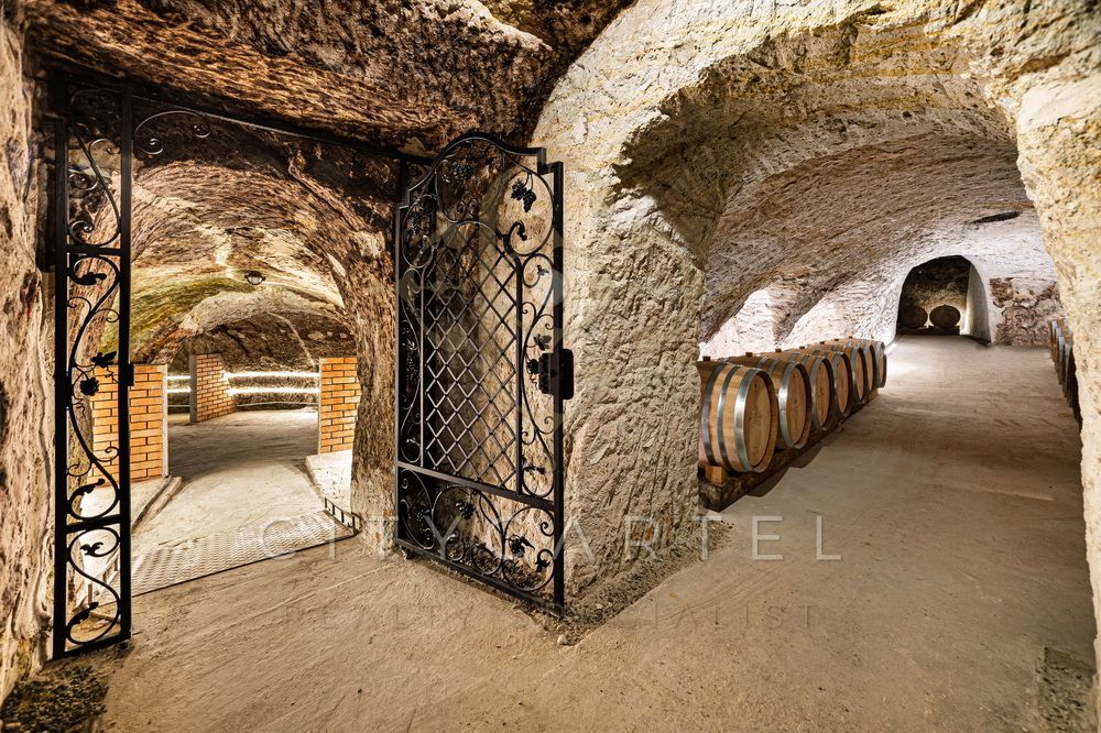 A fájl már létezik a célhelyen: import/kepek/vizjeles_5290774.jpg
For sale Estate Erdőbénye  577 m<sup>2</sup> 4800000 EUR