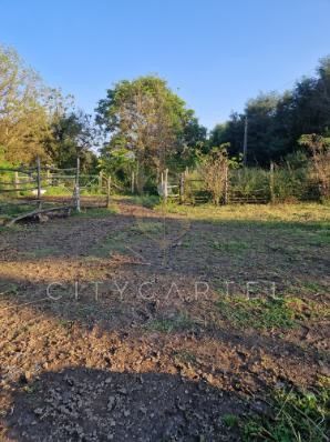 A fájl már létezik a célhelyen: import/kepek/vizjeles_5308952.jpg
For sale Enclosed garden Balatonberény  205 m<sup>2</sup> 34.9 millió Ft