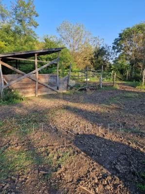 A fájl már létezik a célhelyen: import/kepek/vizjeles_5308958.jpg
For sale Enclosed garden Balatonberény  205 m<sup>2</sup> 34.9 millió Ft