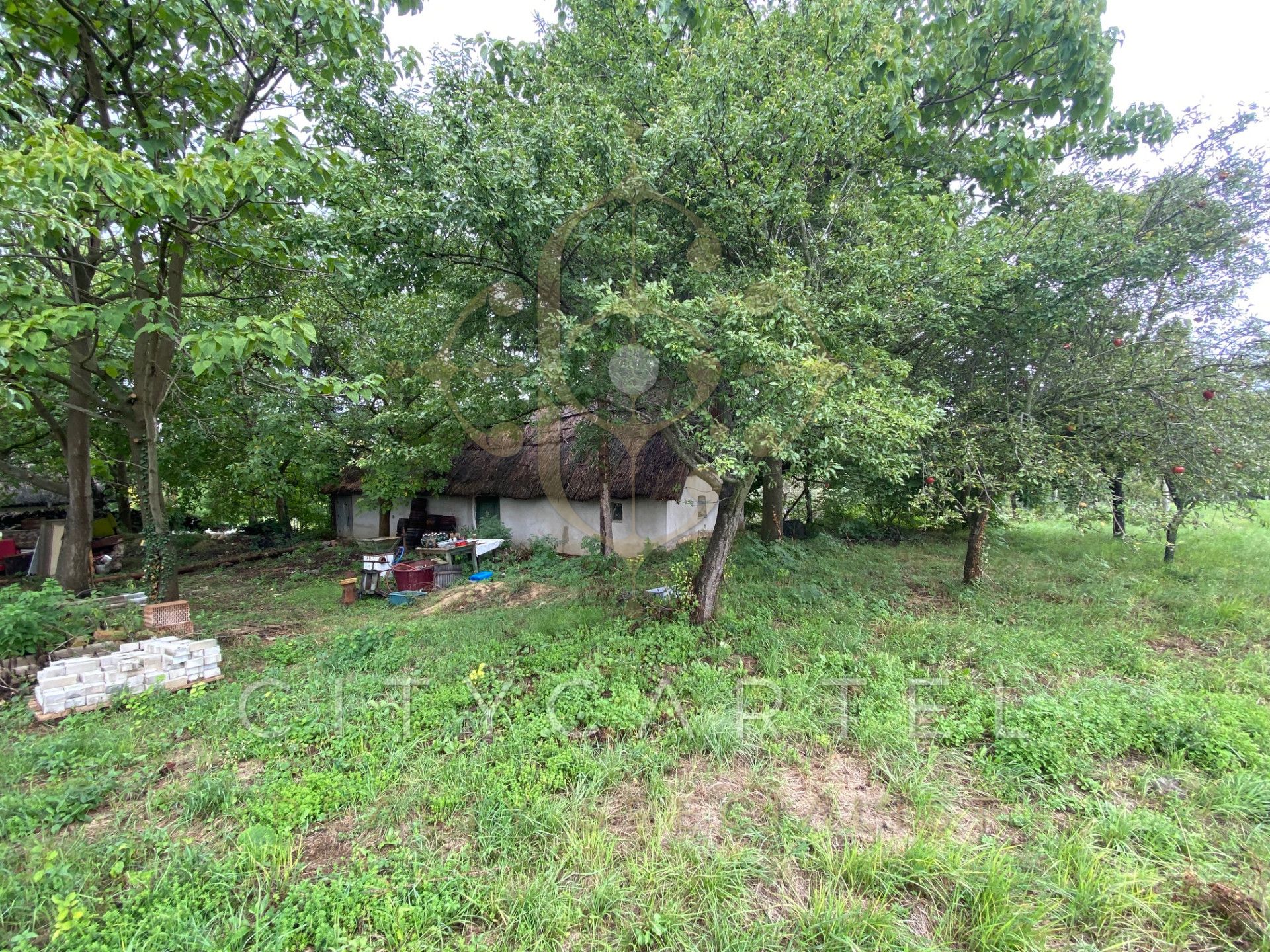 A fájl már létezik a célhelyen: import/kepek/vizjeles_5308960.jpg
For sale Enclosed garden Balatonberény  205 m<sup>2</sup> 34.9 millió Ft