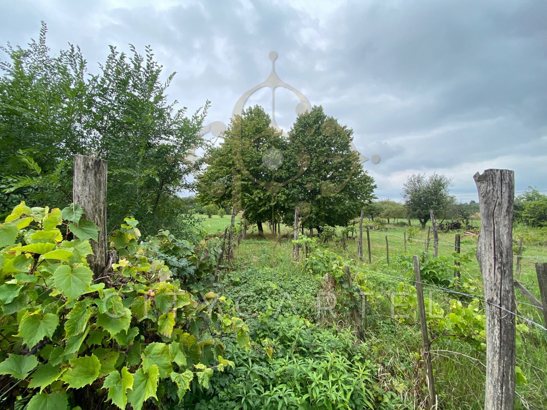 A fájl már létezik a célhelyen: import/kepek/vizjeles_5308962.jpg
For sale Enclosed garden Balatonberény  205 m<sup>2</sup> 34.9 millió Ft