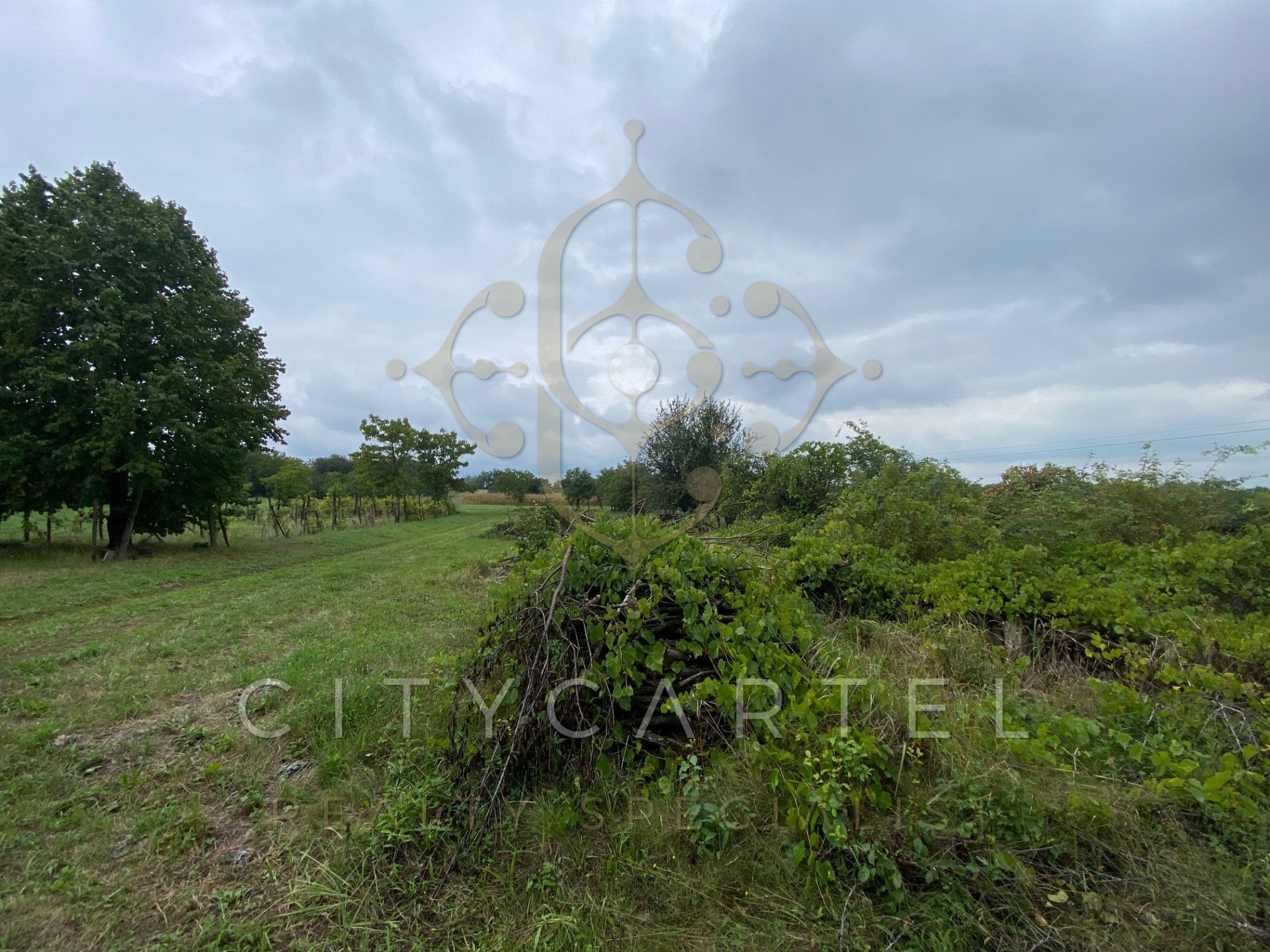A fájl már létezik a célhelyen: import/kepek/vizjeles_5308963.jpg
For sale Enclosed garden Balatonberény  205 m<sup>2</sup> 34.9 millió Ft