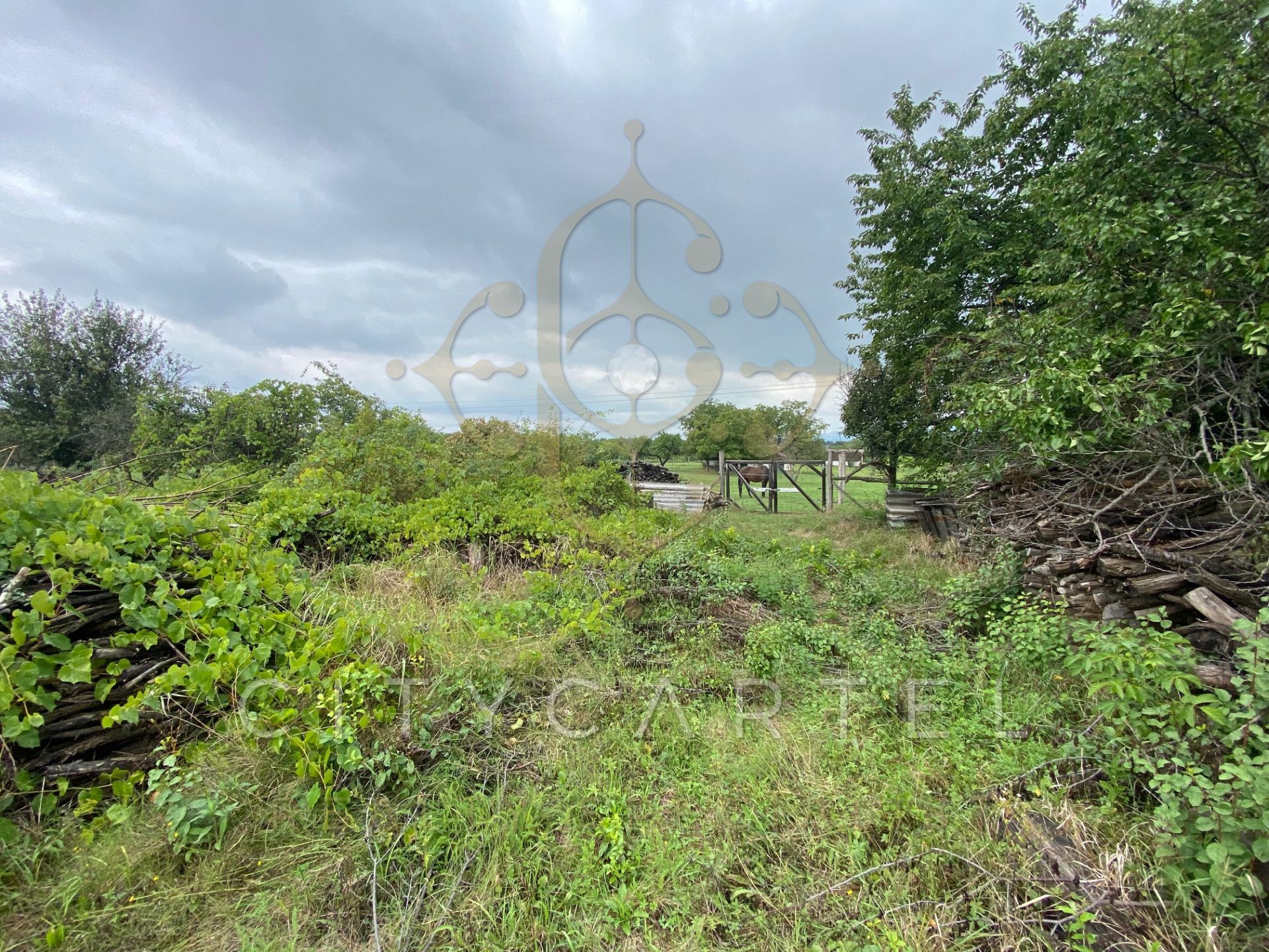 A fájl már létezik a célhelyen: import/kepek/vizjeles_5308964.jpg
For sale Enclosed garden Balatonberény  205 m<sup>2</sup> 34.9 millió Ft