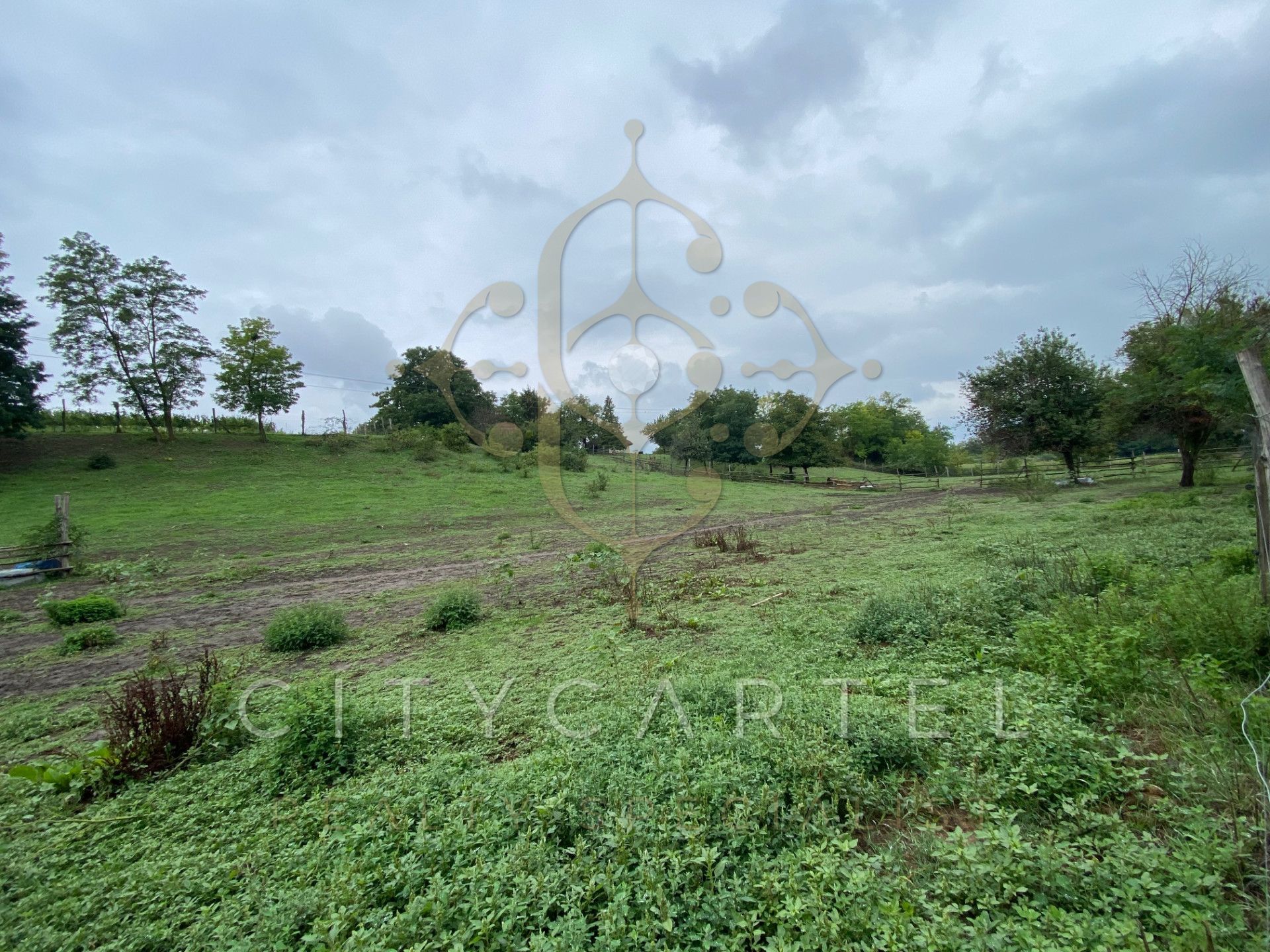 A fájl már létezik a célhelyen: import/kepek/vizjeles_5308966.jpg
For sale Enclosed garden Balatonberény  205 m<sup>2</sup> 34.9 millió Ft
