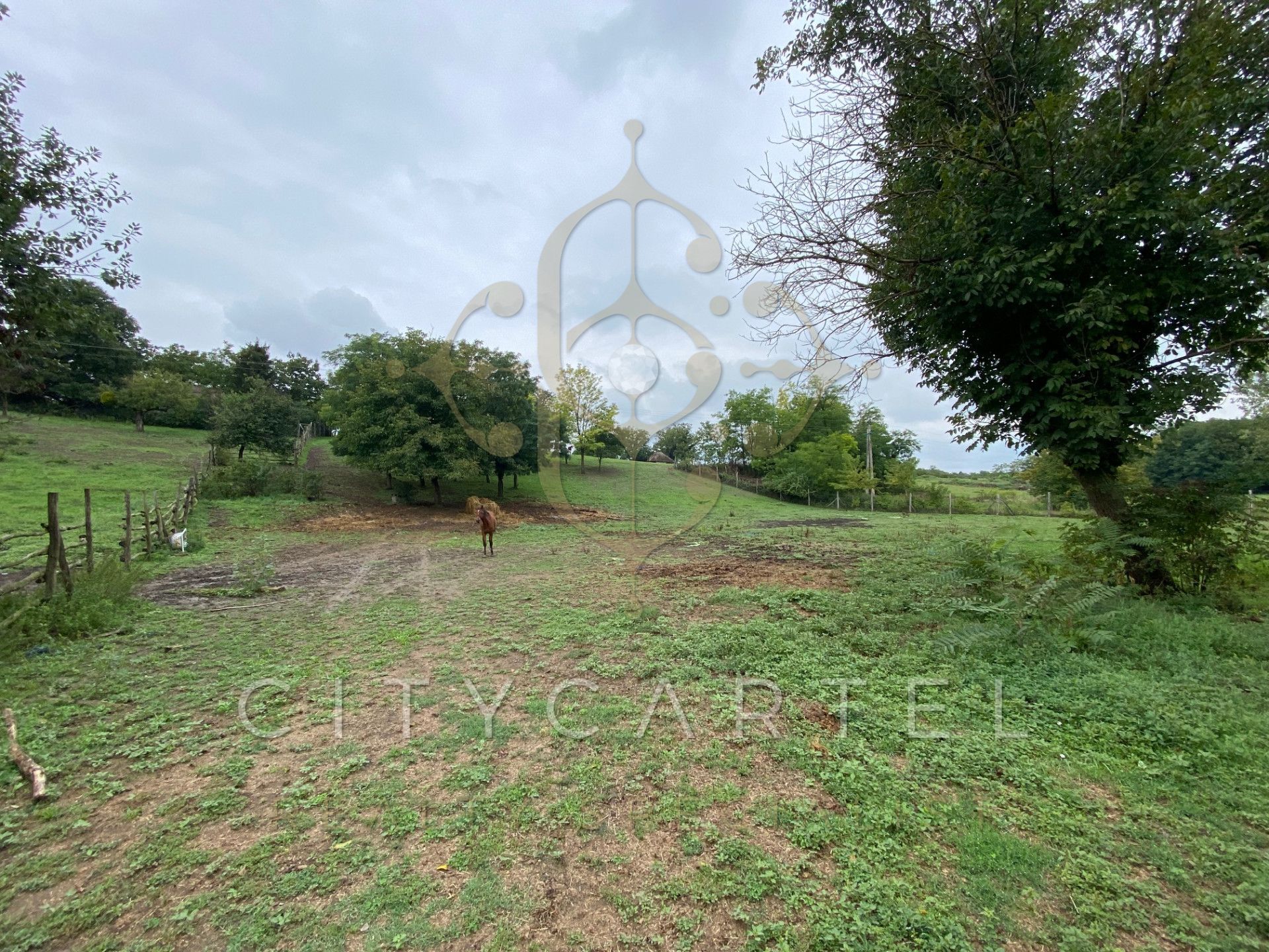A fájl már létezik a célhelyen: import/kepek/vizjeles_5308970.jpg
For sale Enclosed garden Balatonberény  205 m<sup>2</sup> 34.9 millió Ft