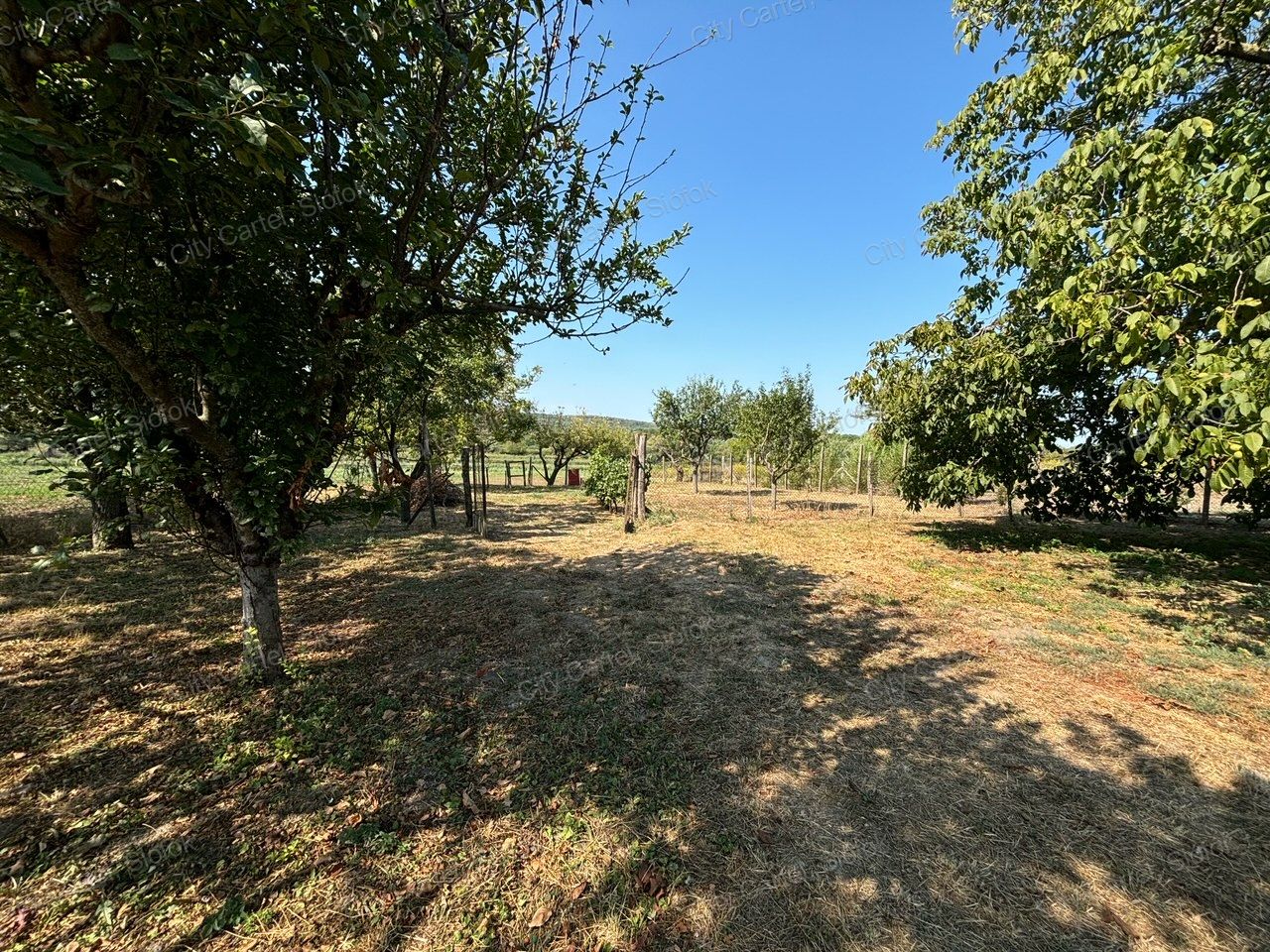 A fájl már létezik a célhelyen: import/kepek/vizjeles_5404215.jpg
Eladó Családi ház Szólád  52 m<sup>2</sup> 24.5 millió Ft