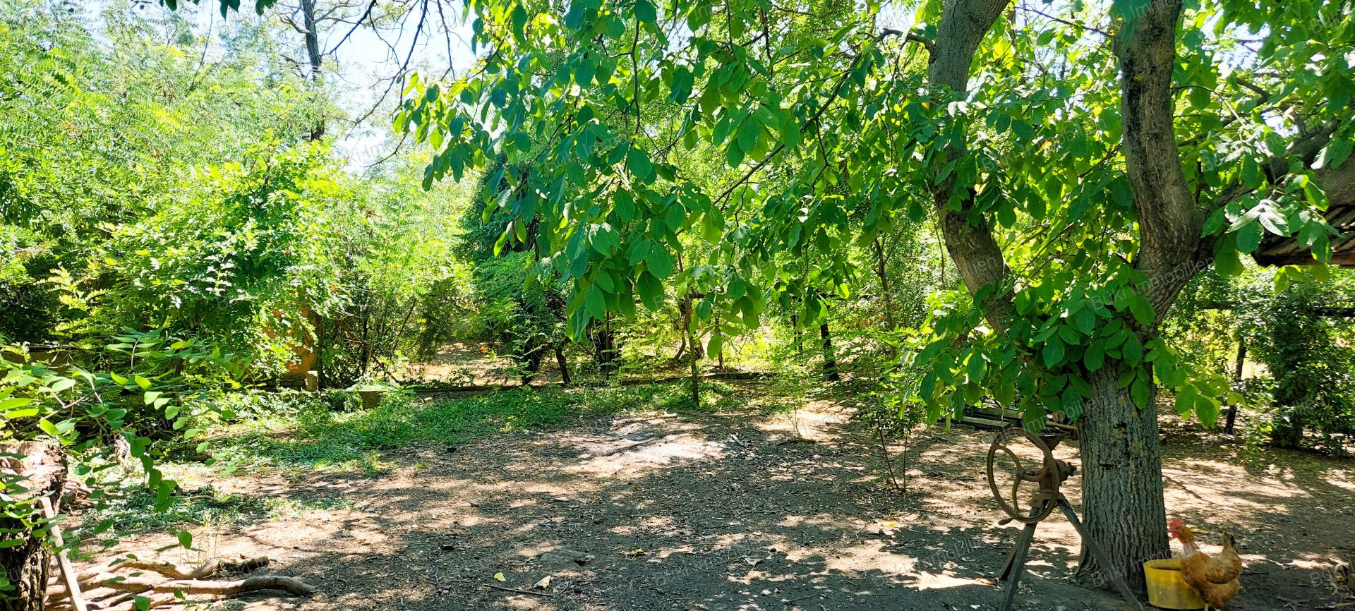 A fájl már létezik a célhelyen: import/kepek/vizjeles_5480307.jpg
For sale Farmstead Kétsoprony  220 m<sup>2</sup> 27.9 millió Ft