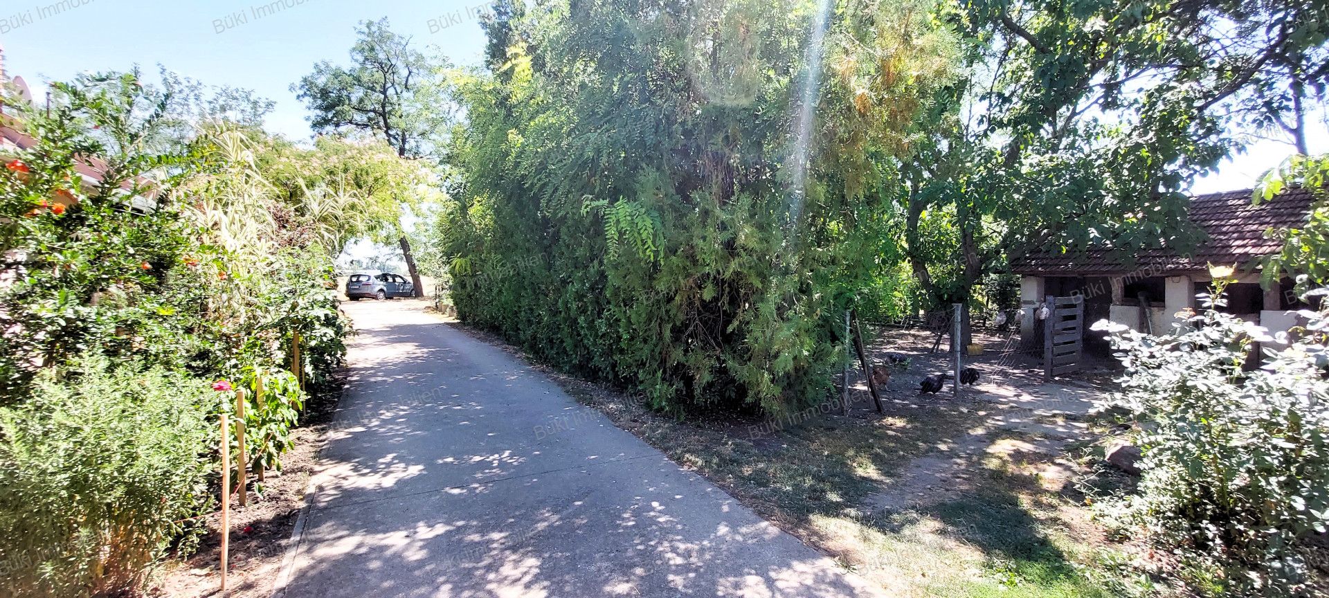 A fájl már létezik a célhelyen: import/kepek/vizjeles_5480312.jpg
For sale Farmstead Kétsoprony  220 m<sup>2</sup> 27.9 millió Ft
