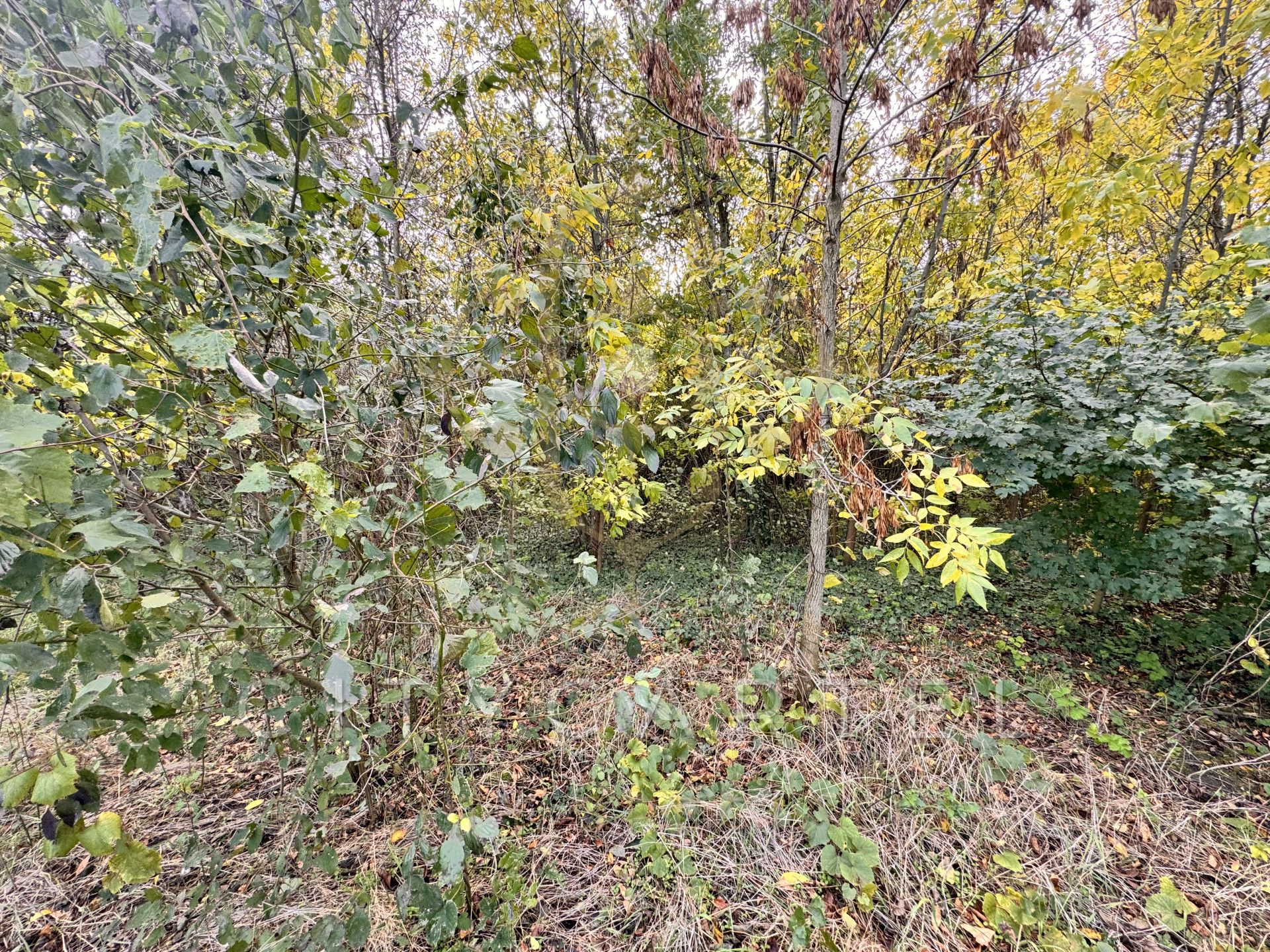A fájl már létezik a célhelyen: import/kepek/vizjeles_5483445.jpg
For sale Villa, castle, mansion Csepreg  1200 m<sup>2</sup> 159 millió Ft