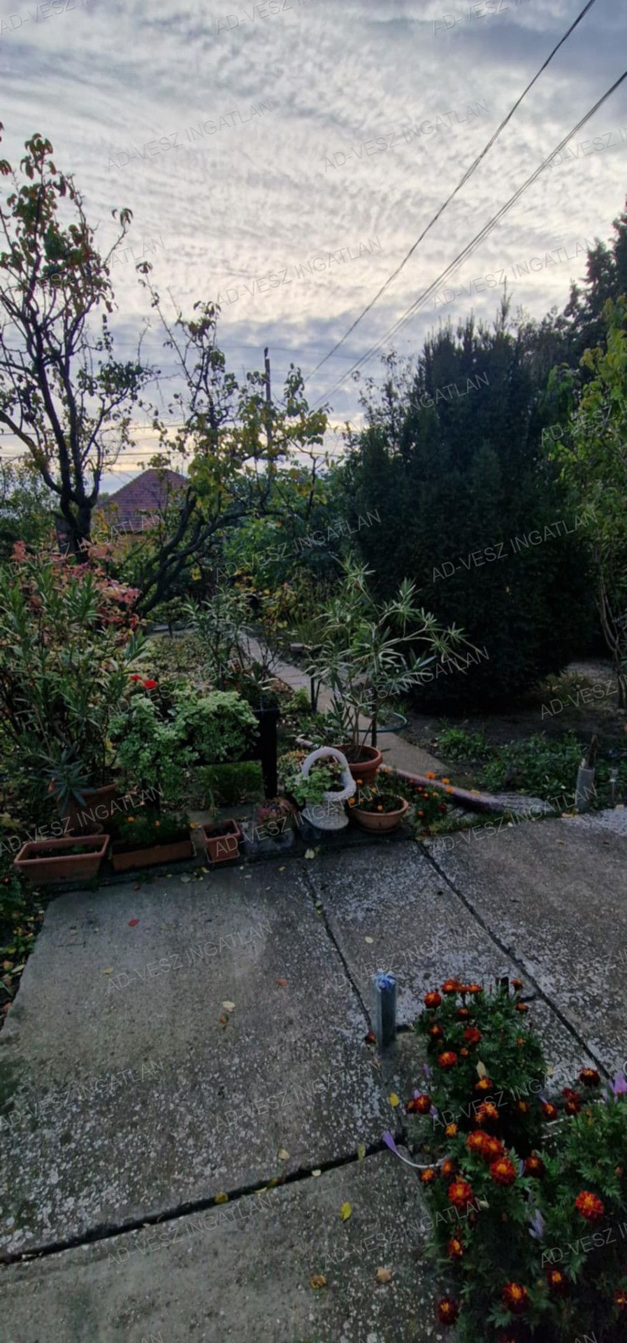 A fájl már létezik a célhelyen: import/kepek/vizjeles_5494029.jpg
Eladó Családi ház Ócsa  163 m<sup>2</sup> 75 millió Ft